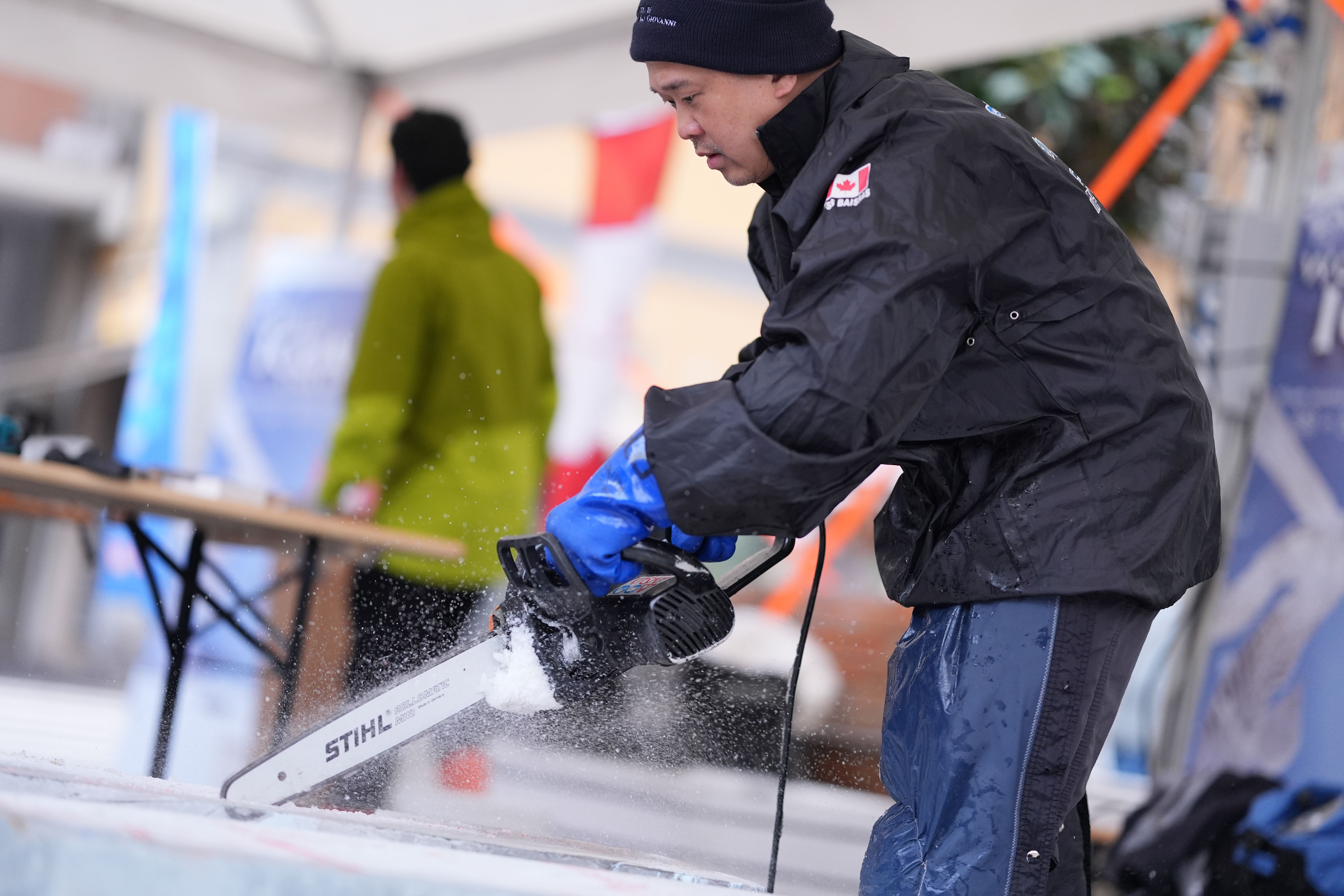 immagine di galleria