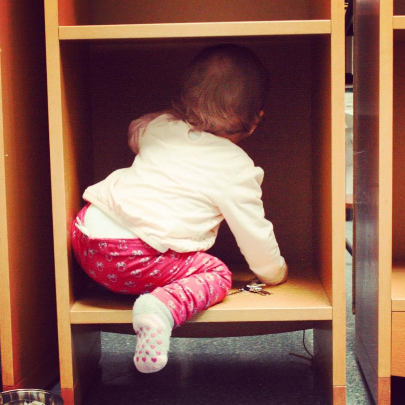 immagine di galleria