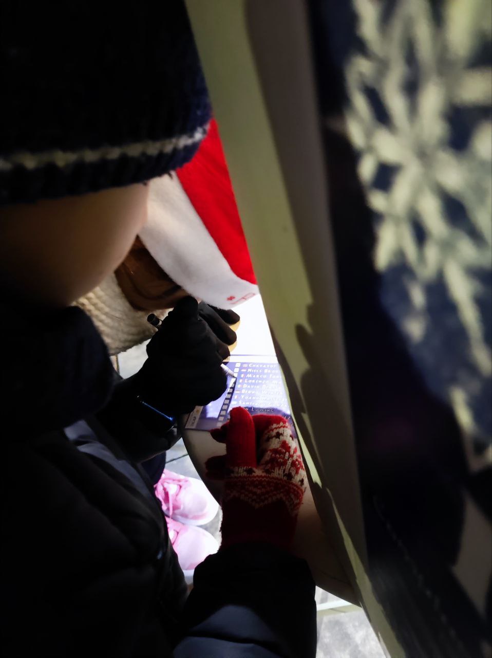 immagine di galleria 'World Ice Art Championship'