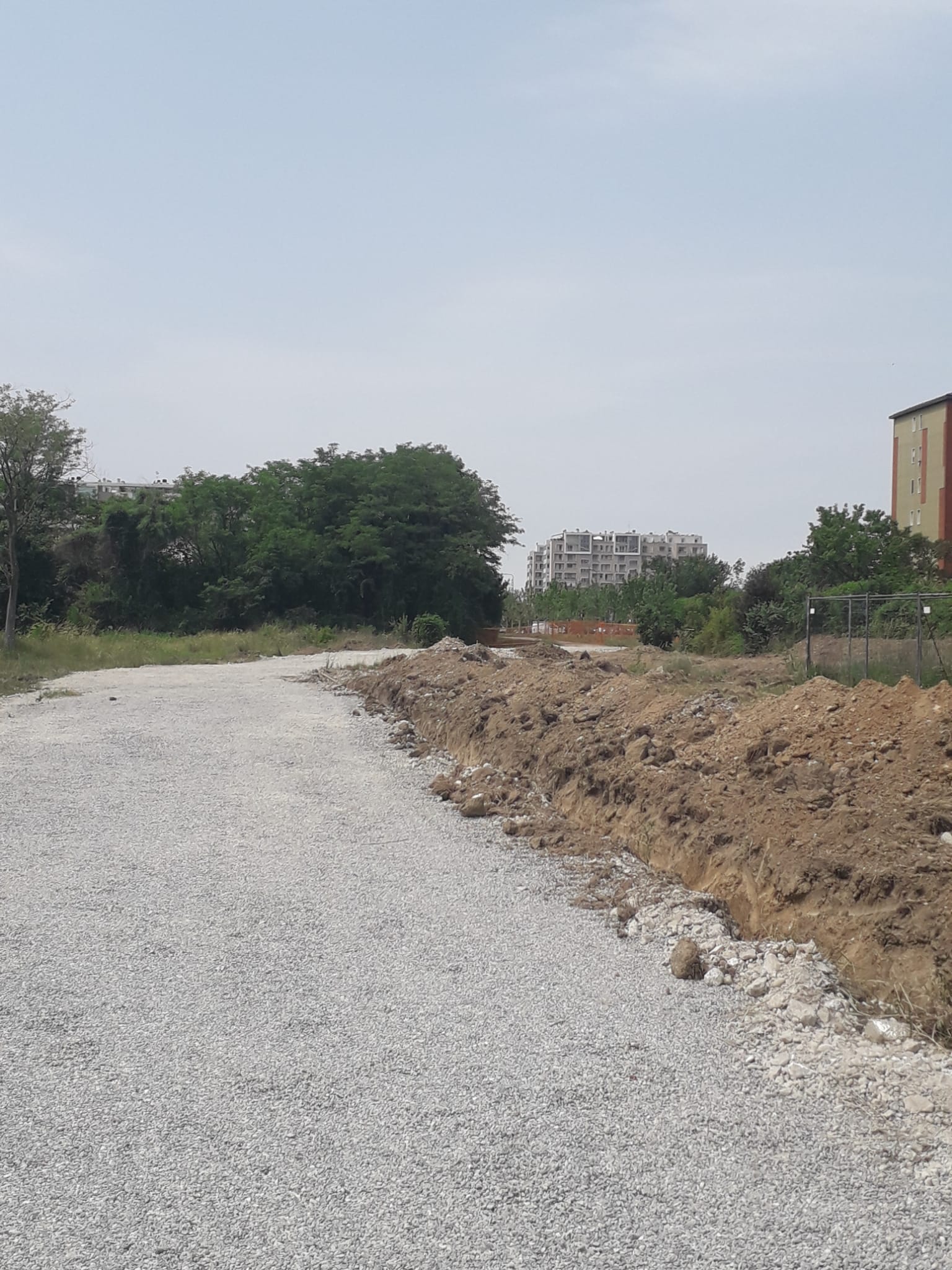 immagine di galleria 'Le reti ciclabili in Città'