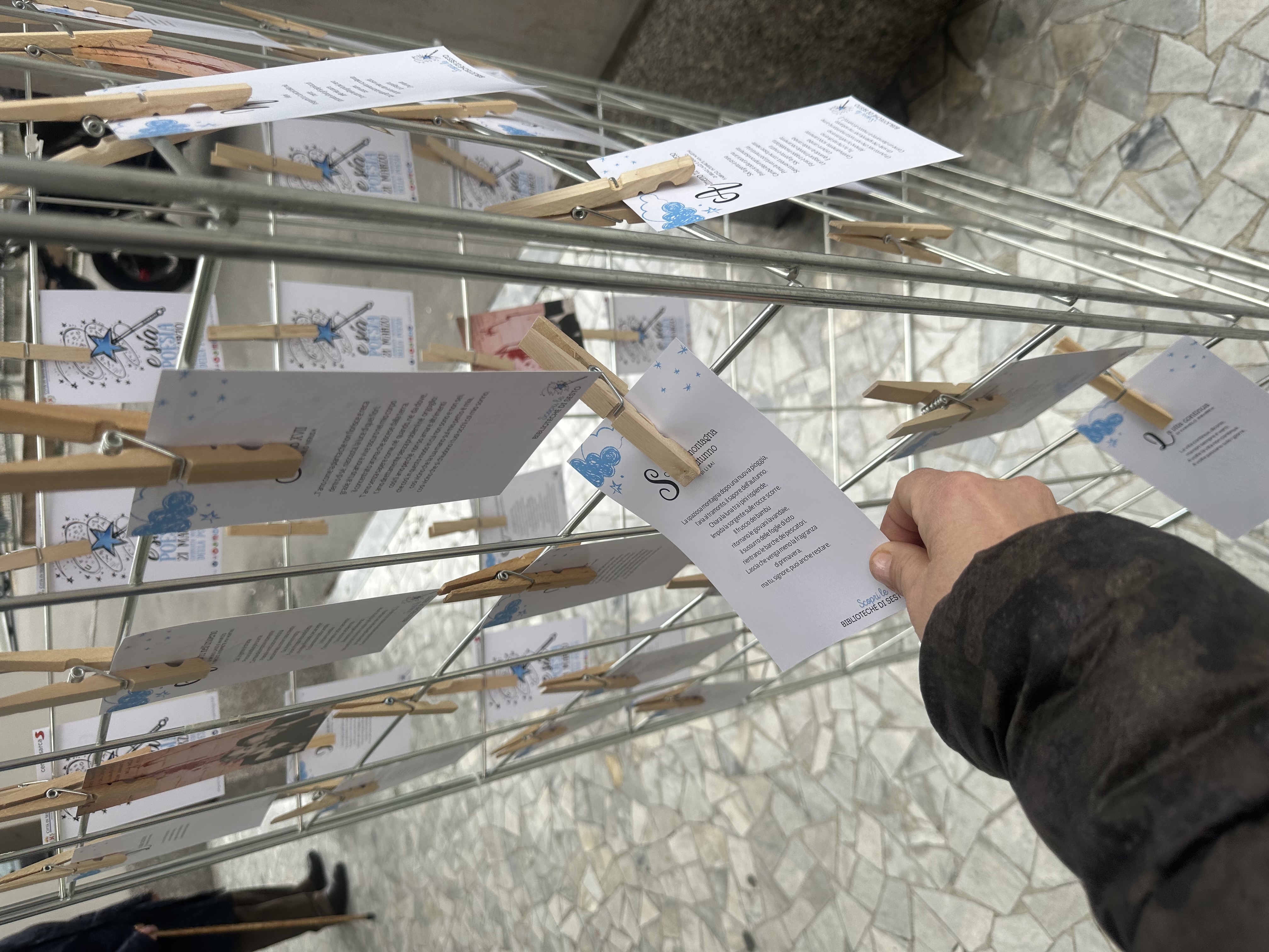 immagine di galleria