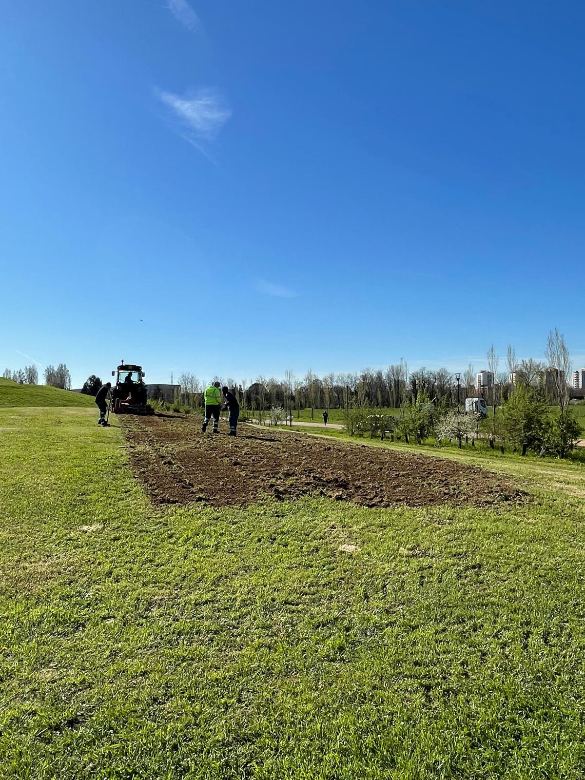 immagine di galleria