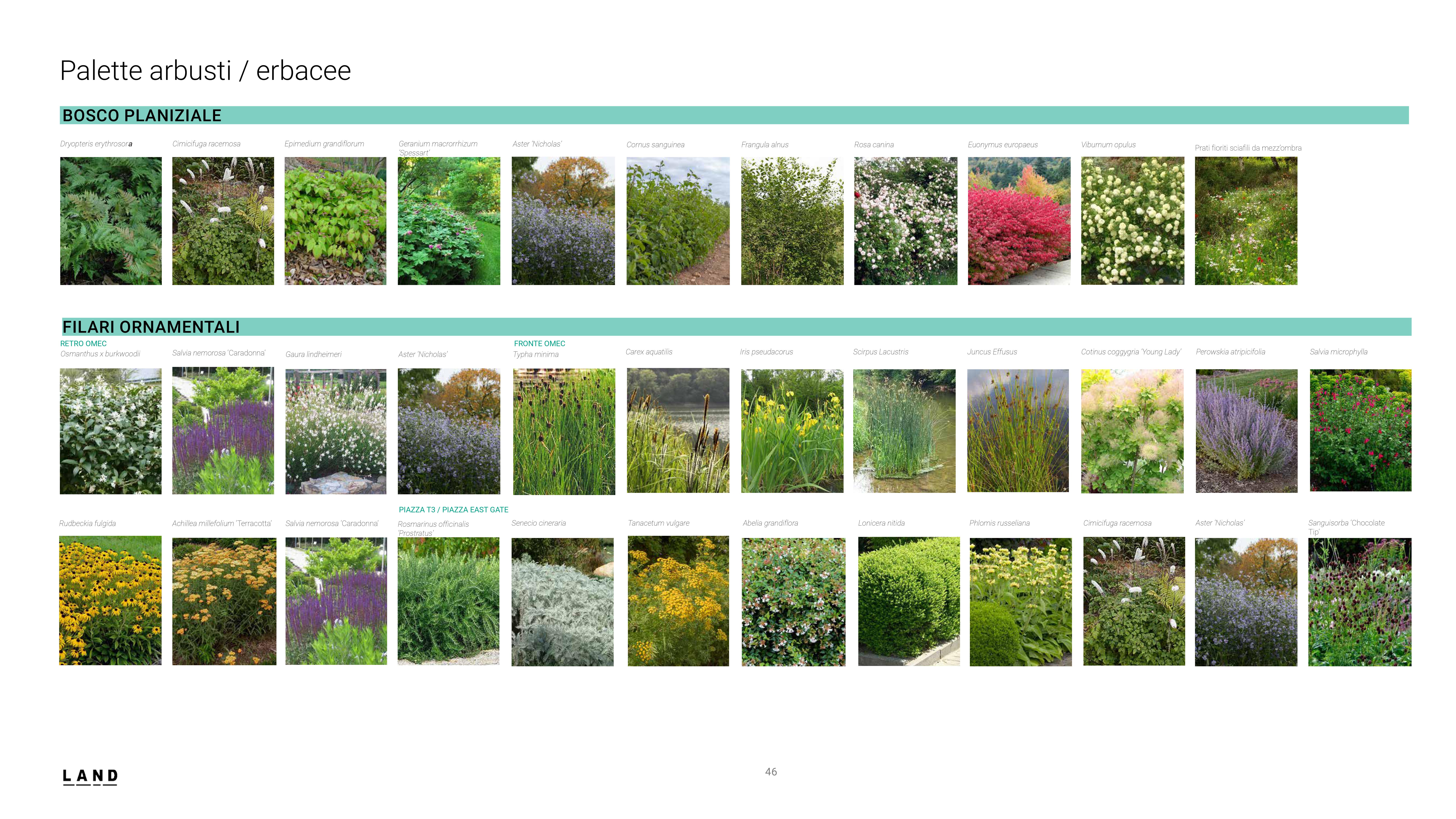 immagine di galleria 'Il nuovo Parco Unione nelle ex aree Falck'