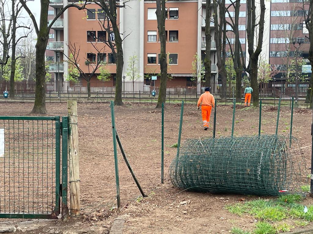 immagine di galleria 'Riqualificazione del giardino Norma Cossetto'