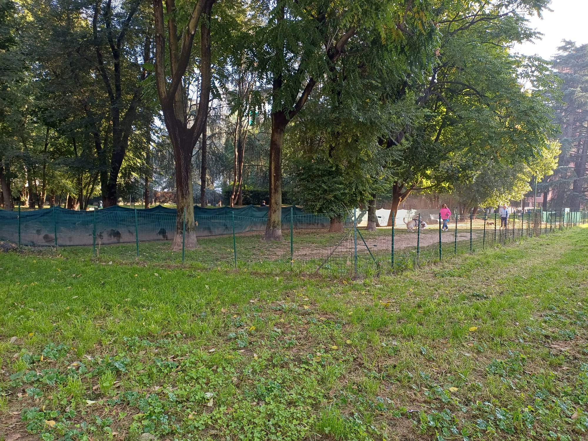 immagine di galleria