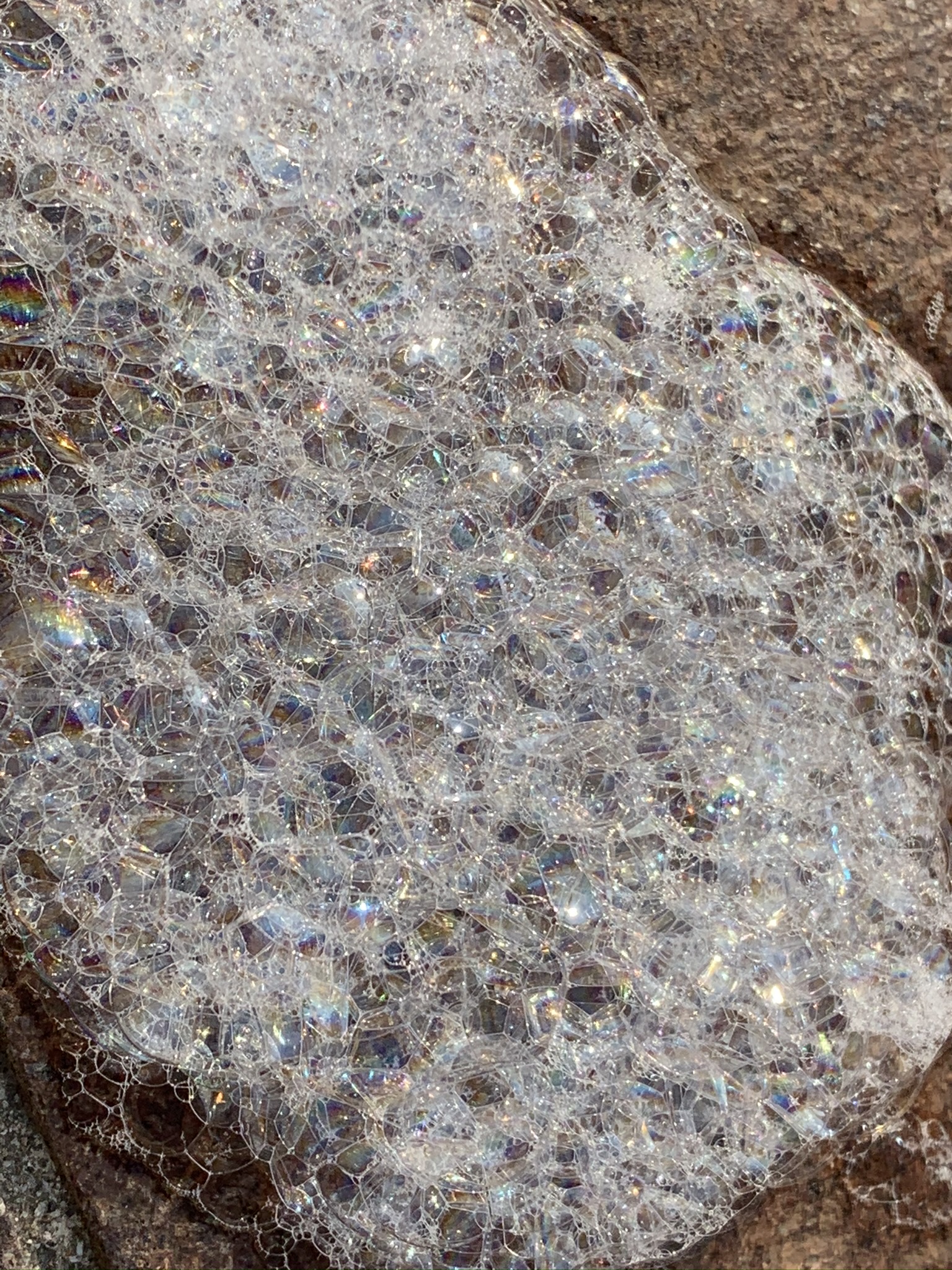 immagine di galleria