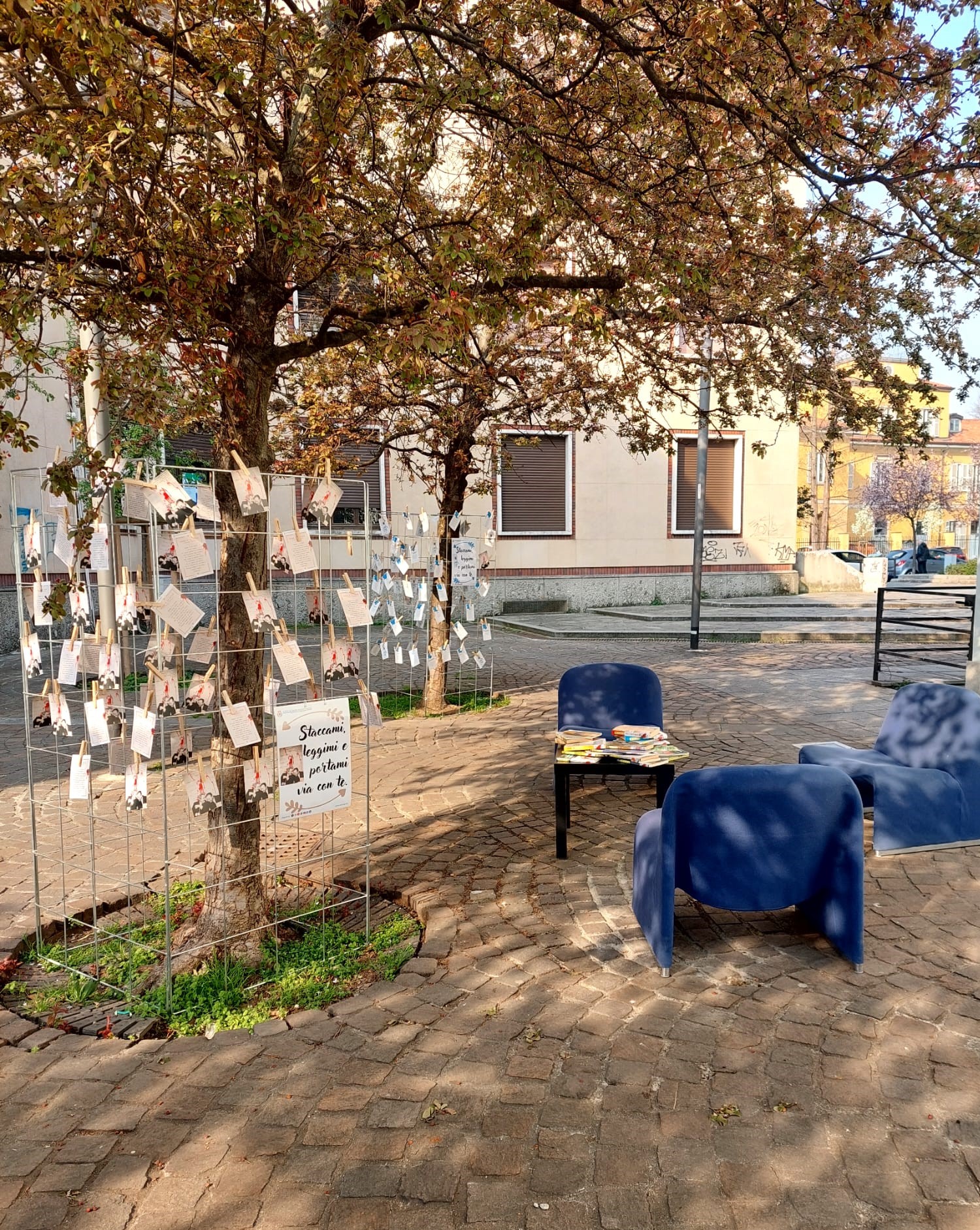 immagine di galleria