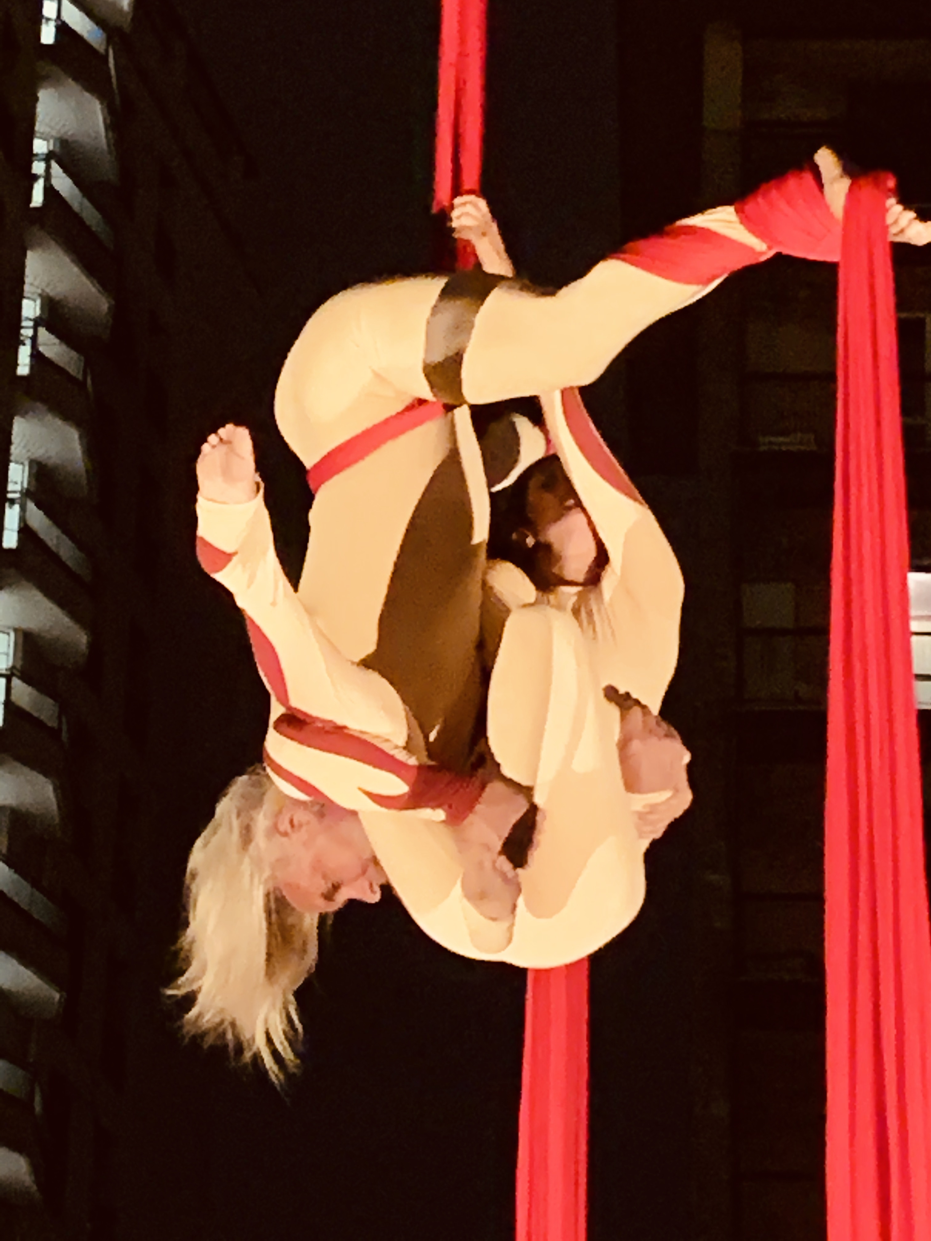 immagine di galleria