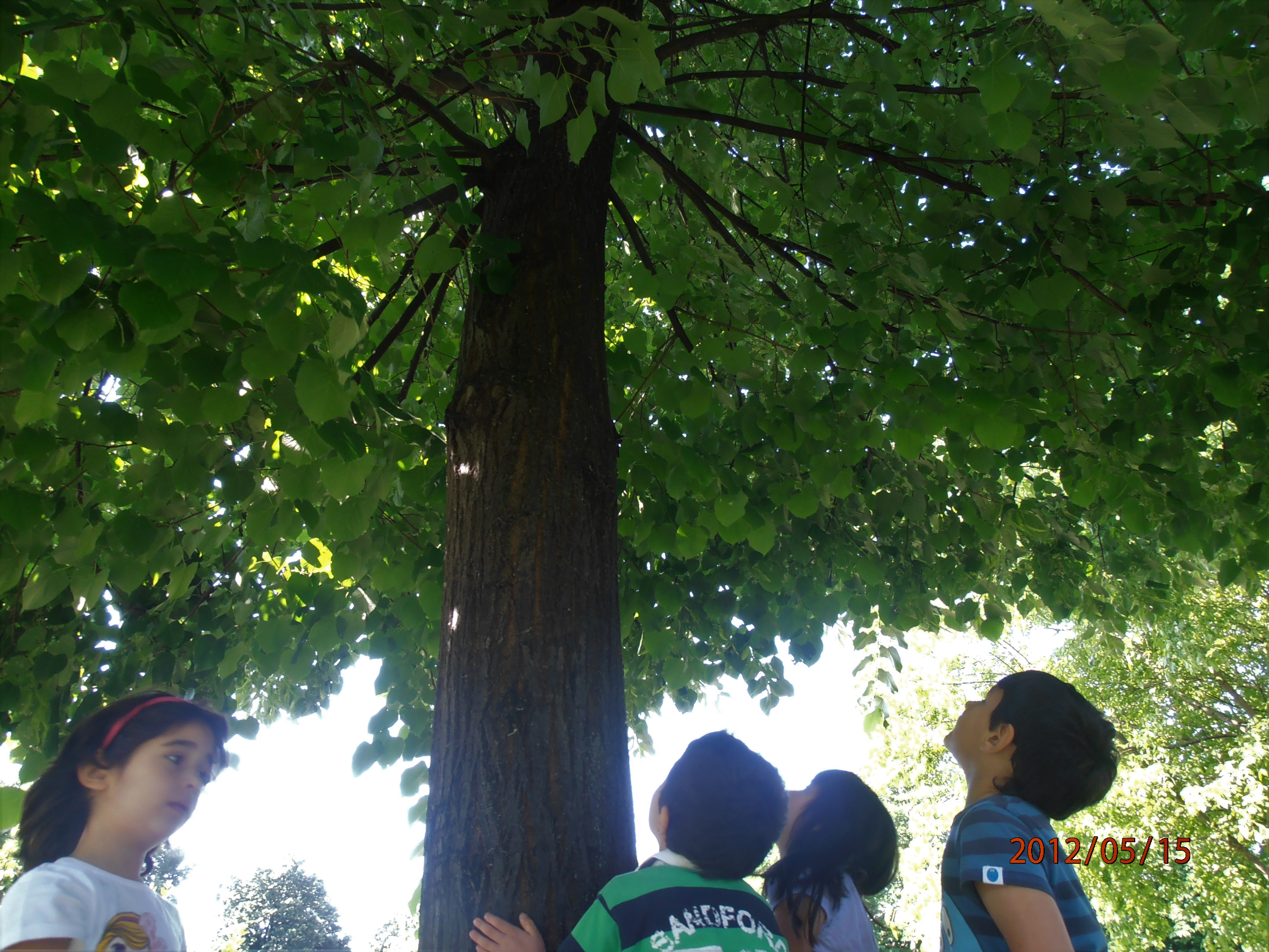 immagine di galleria 'GiocheriaLaboratori: le attività'