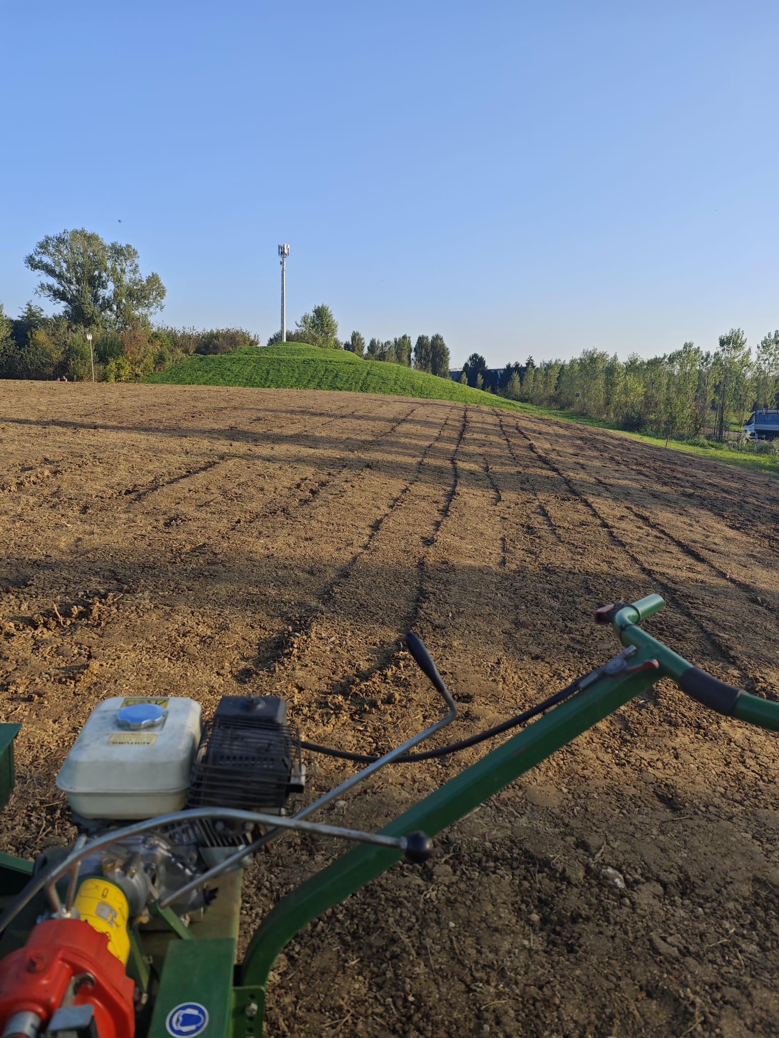 immagine di galleria 'Prato fiorito alla Bergamella'