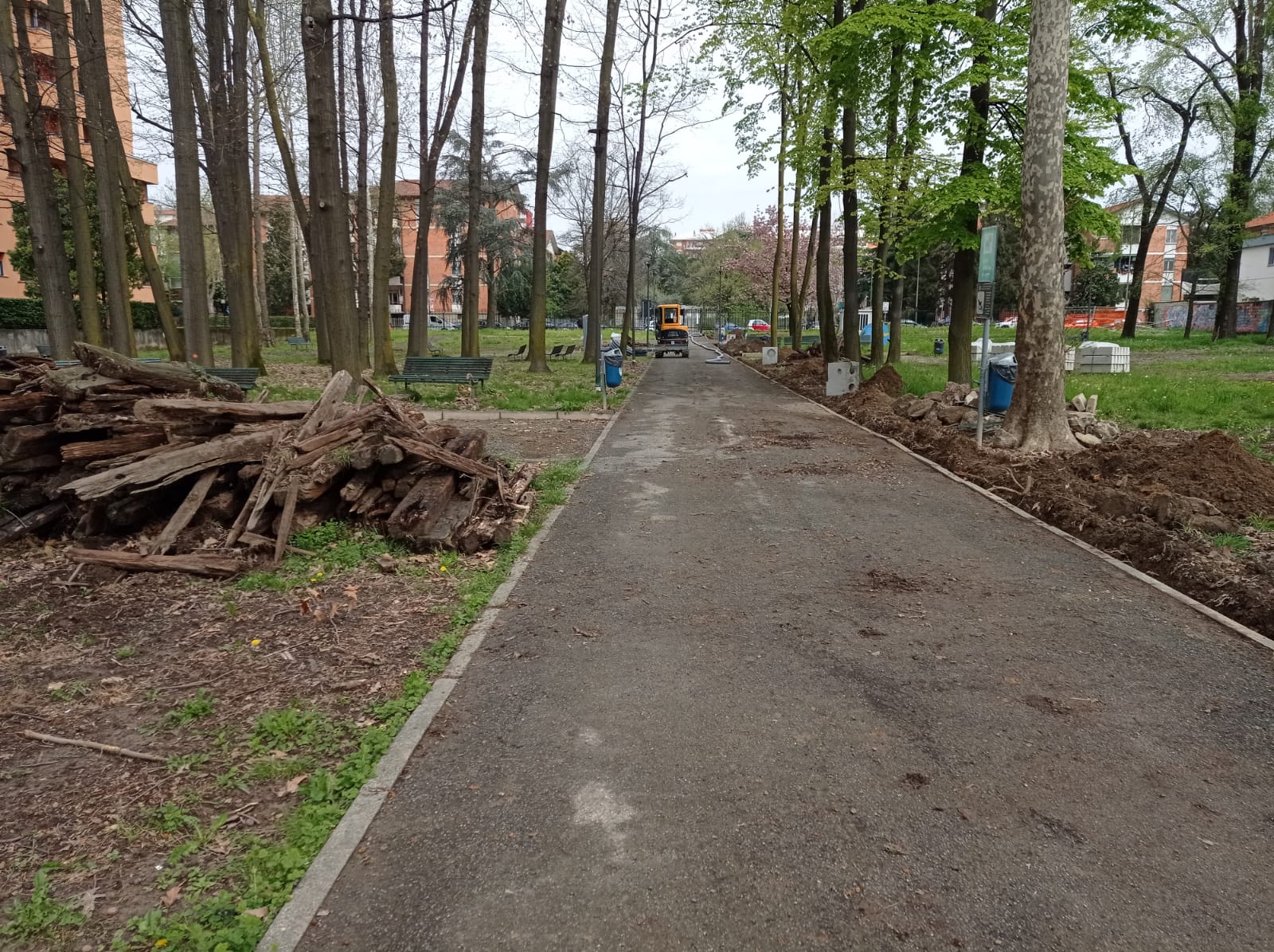 immagine di galleria