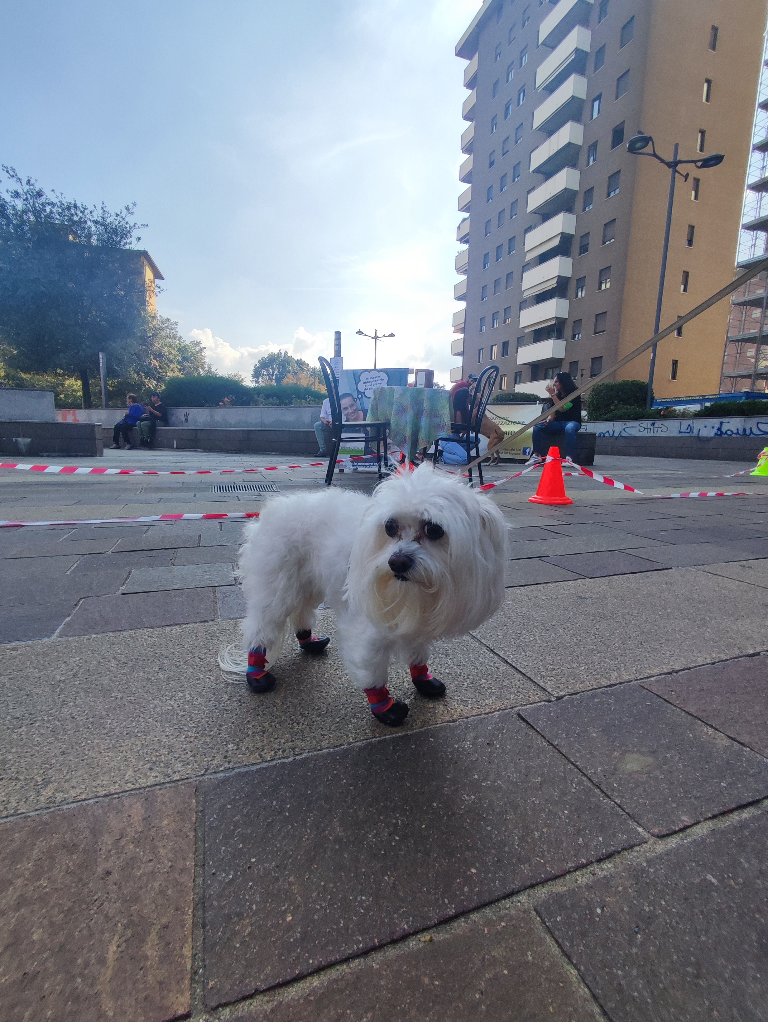 immagine di galleria 'Festa dello Sport, del Volontariato e della Salute 2024'