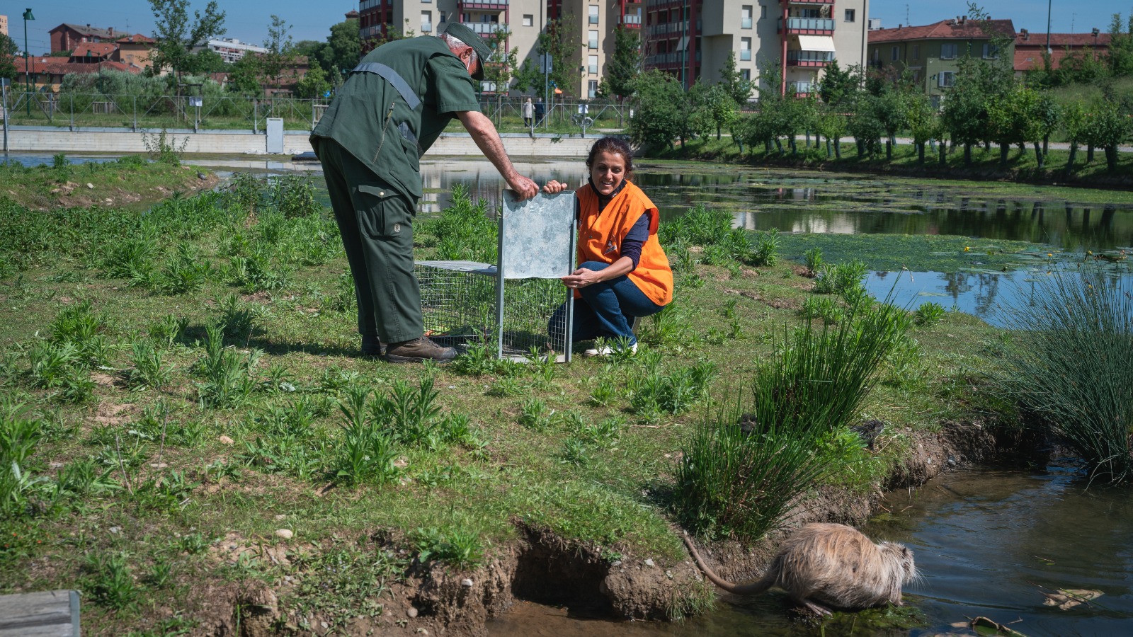 immagine di galleria 'Un progetto per fermare la riproduzione incontrollata delle nutrie'