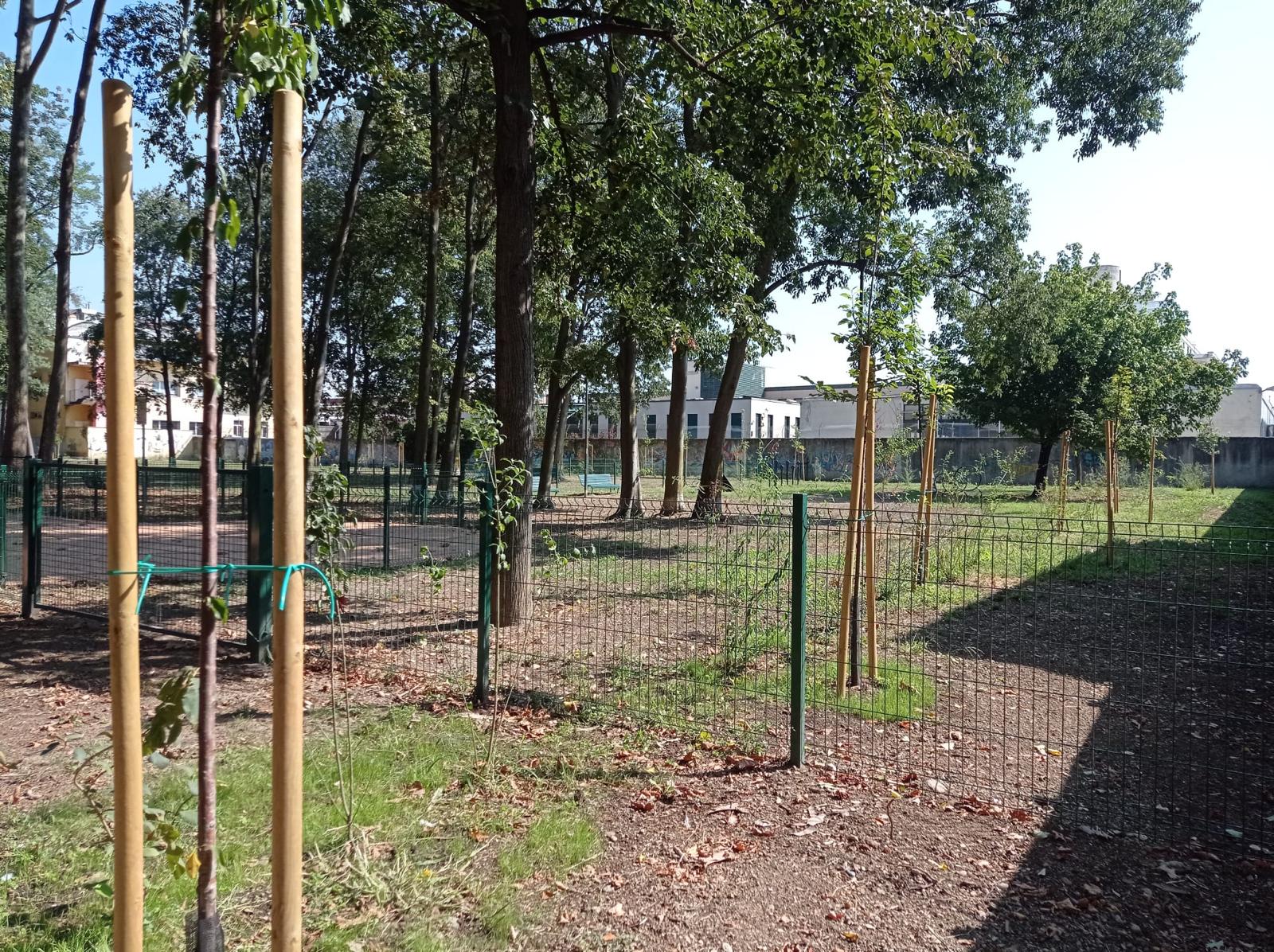 immagine di galleria