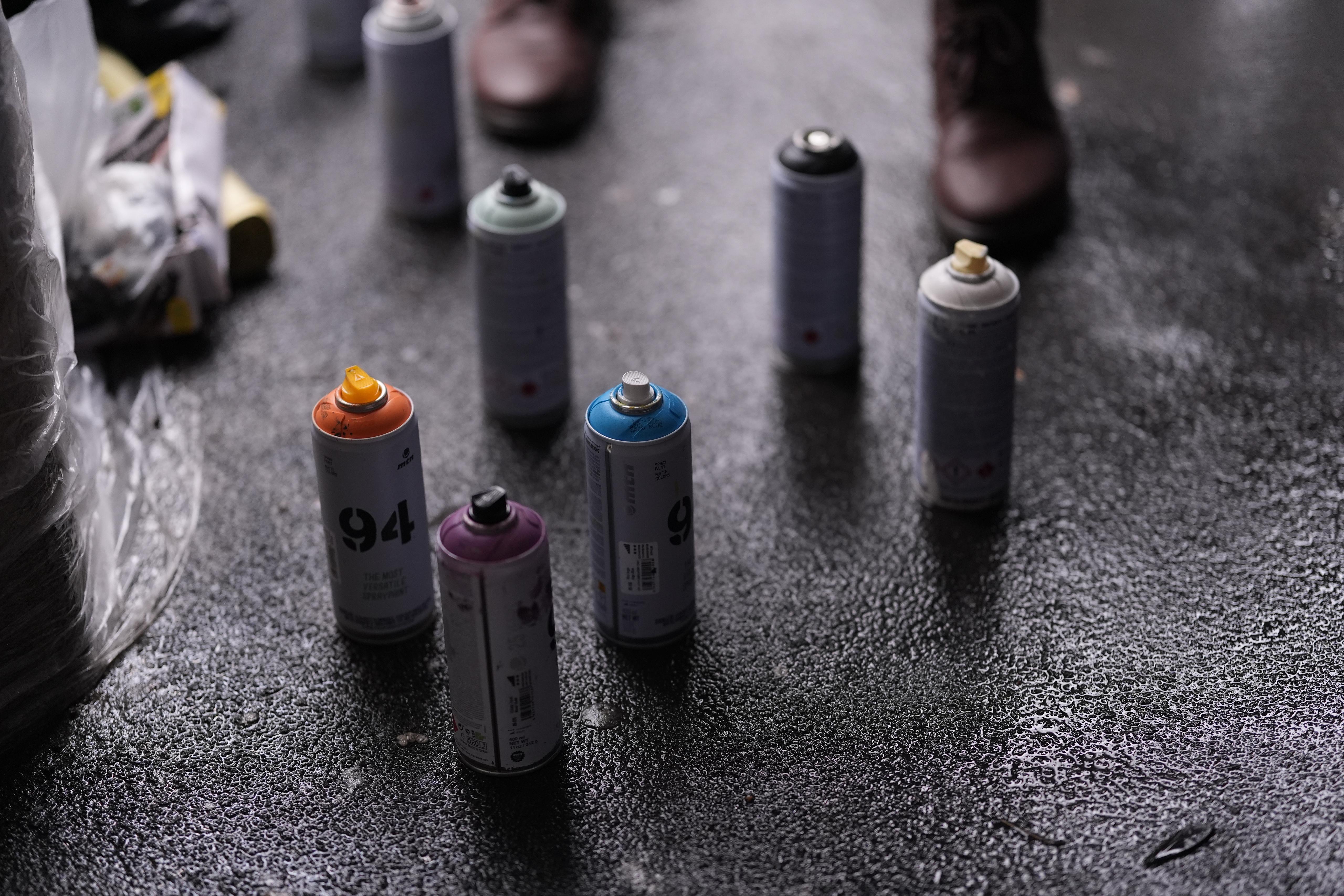 immagine di galleria