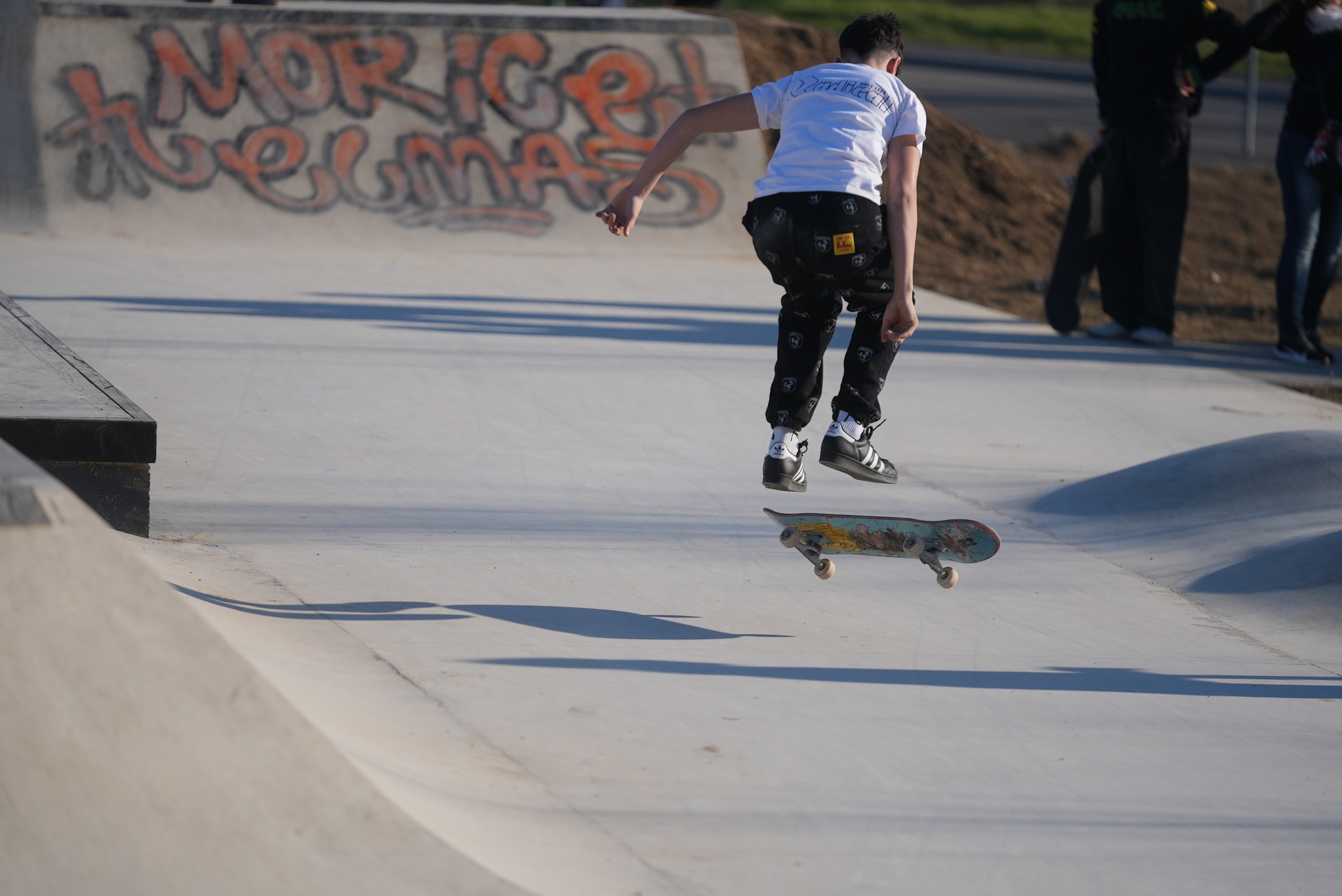 immagine di galleria