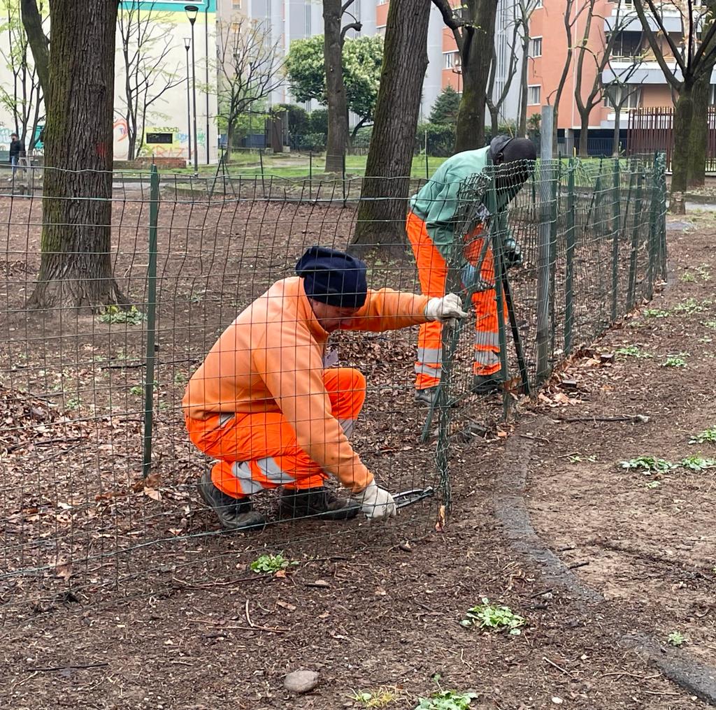immagine di galleria 'Riqualificazione del giardino Norma Cossetto'