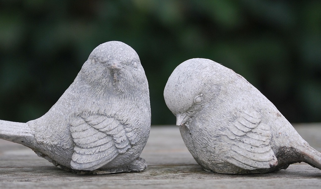 immagine di galleria