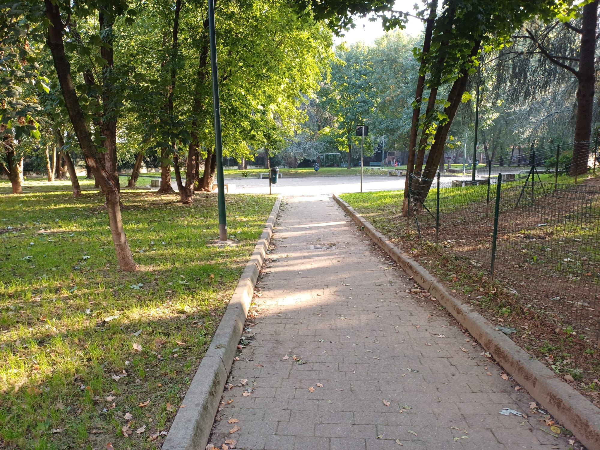 immagine di galleria