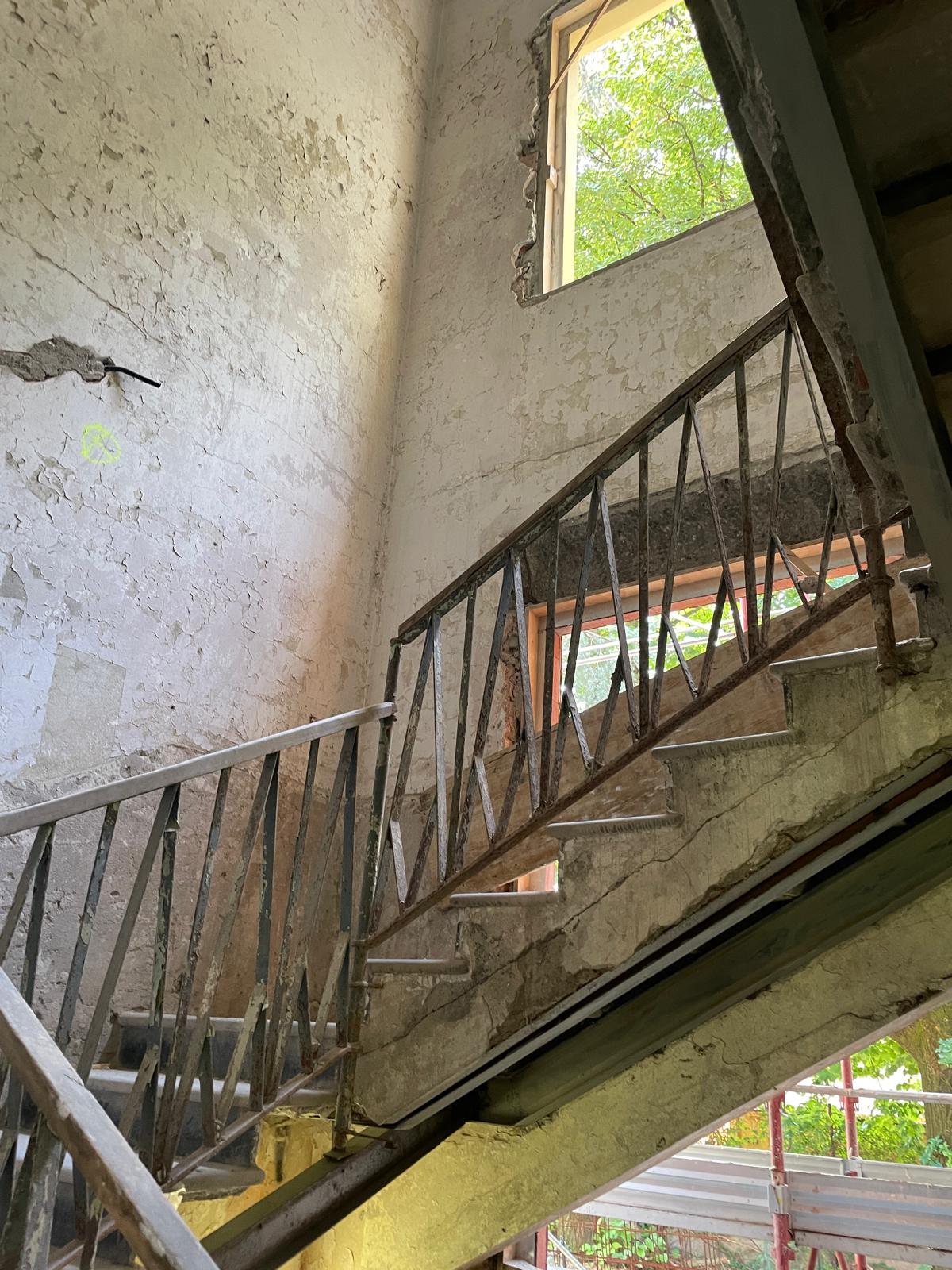 immagine di galleria