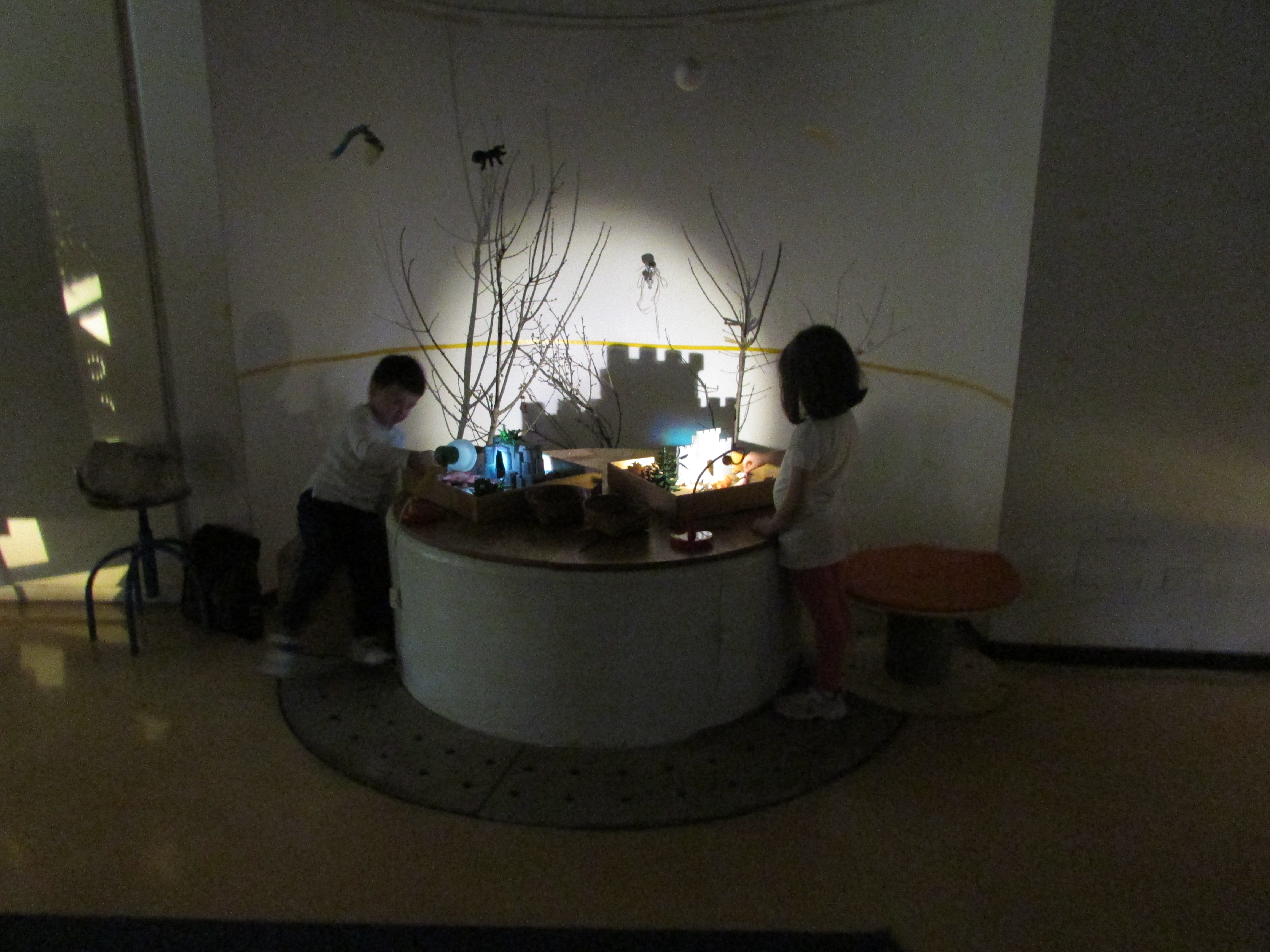 immagine di galleria