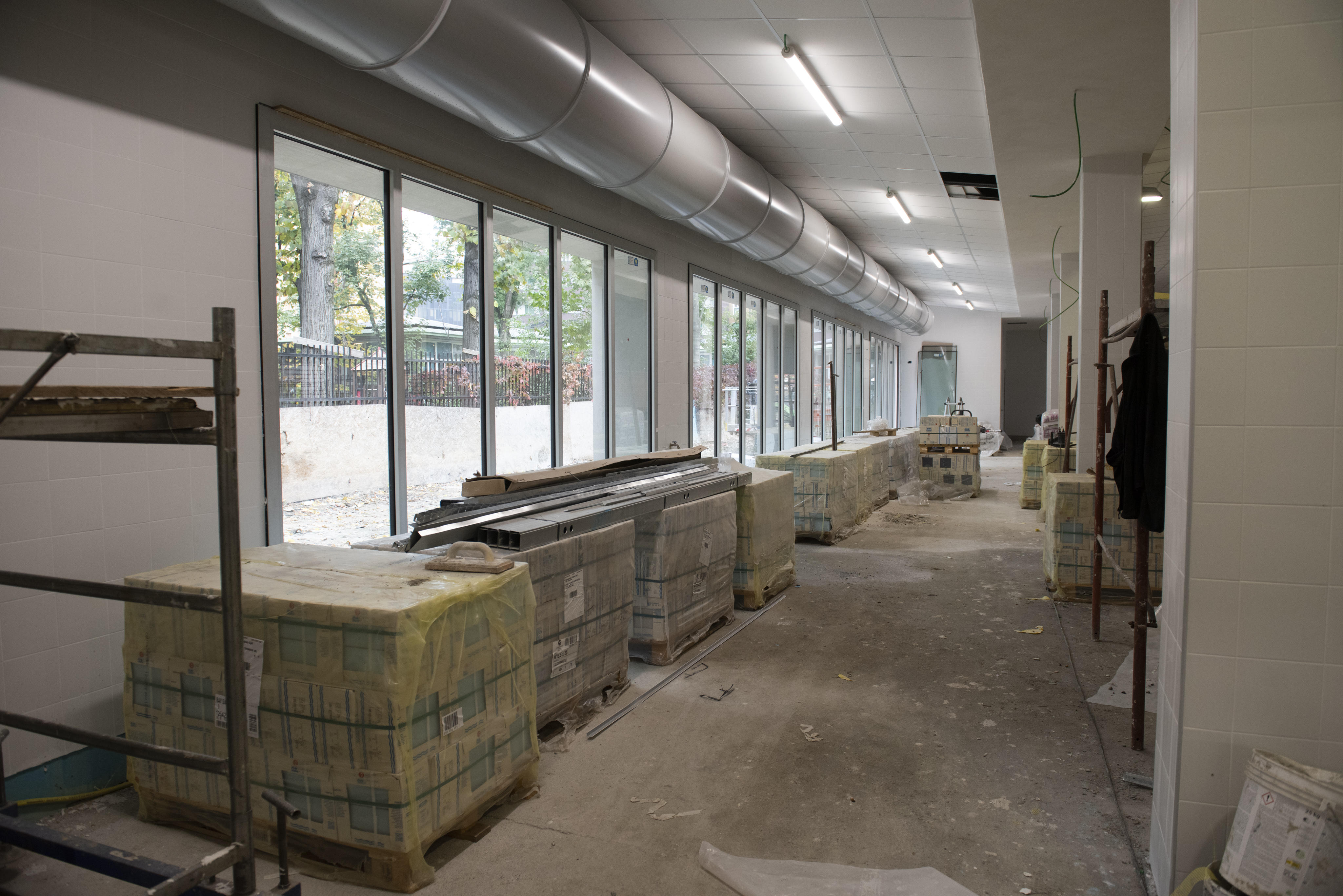 immagine di galleria