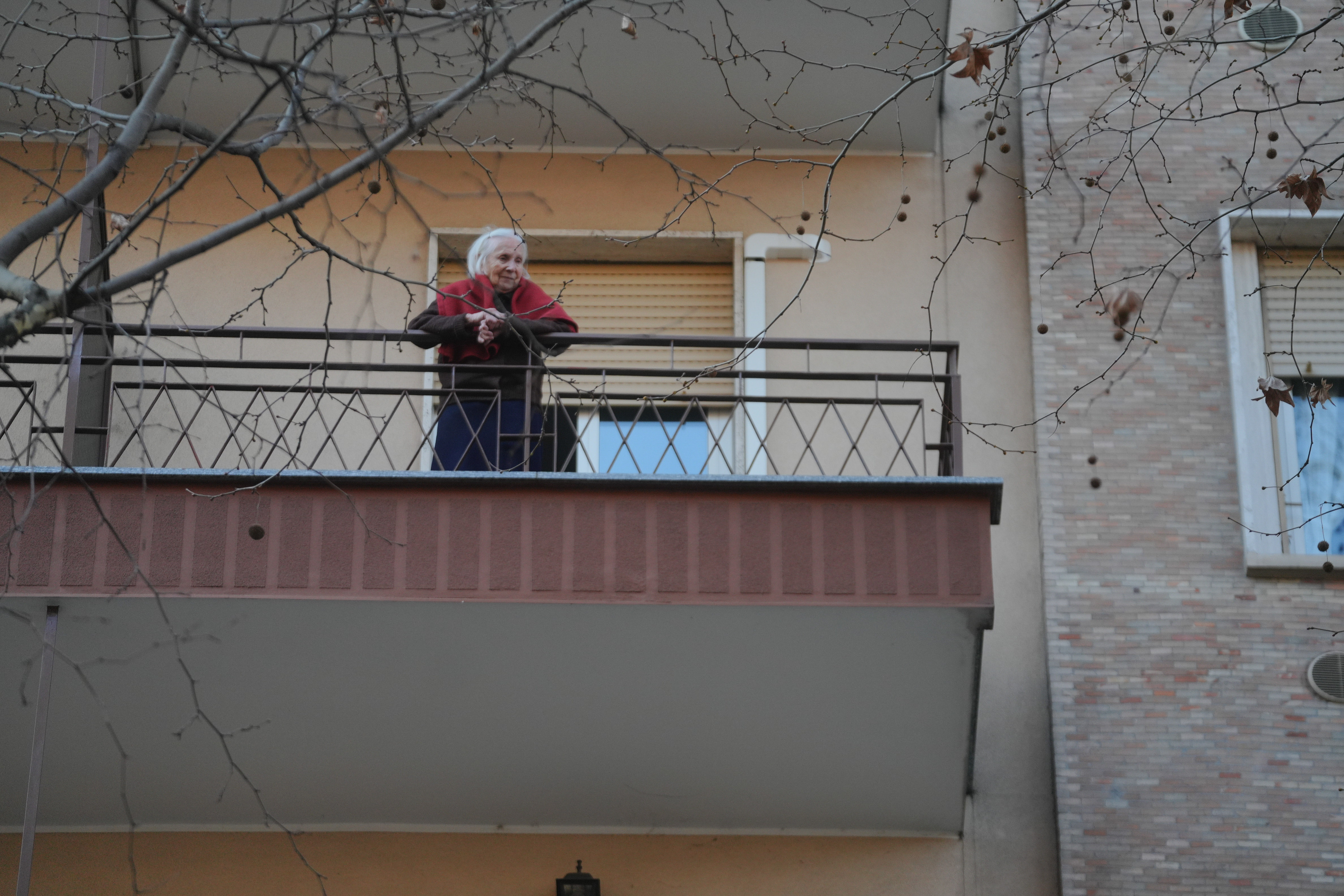 immagine di galleria