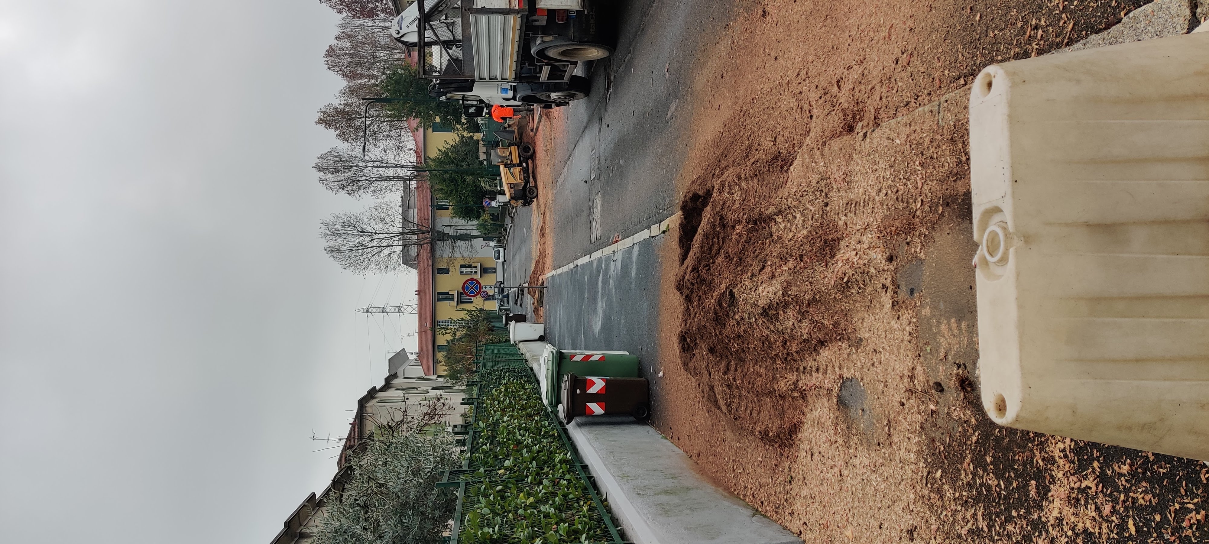 immagine di galleria