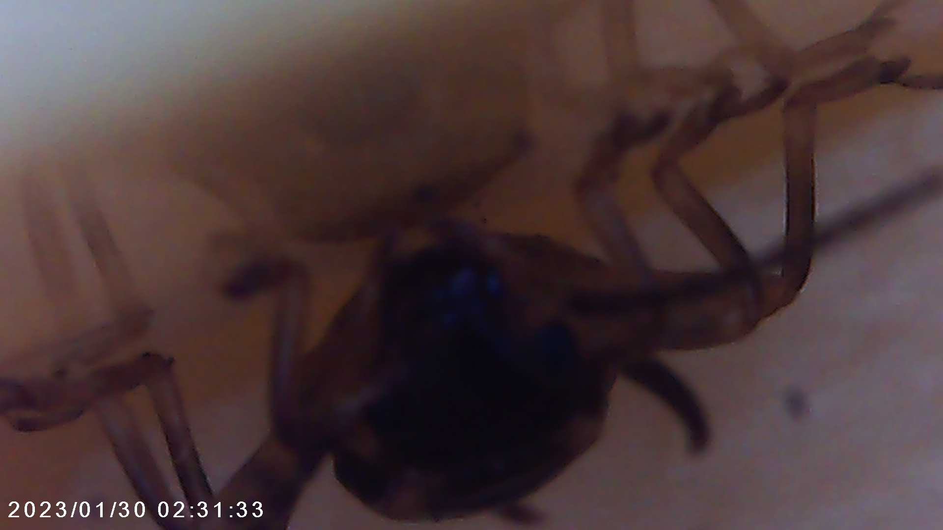 immagine di galleria