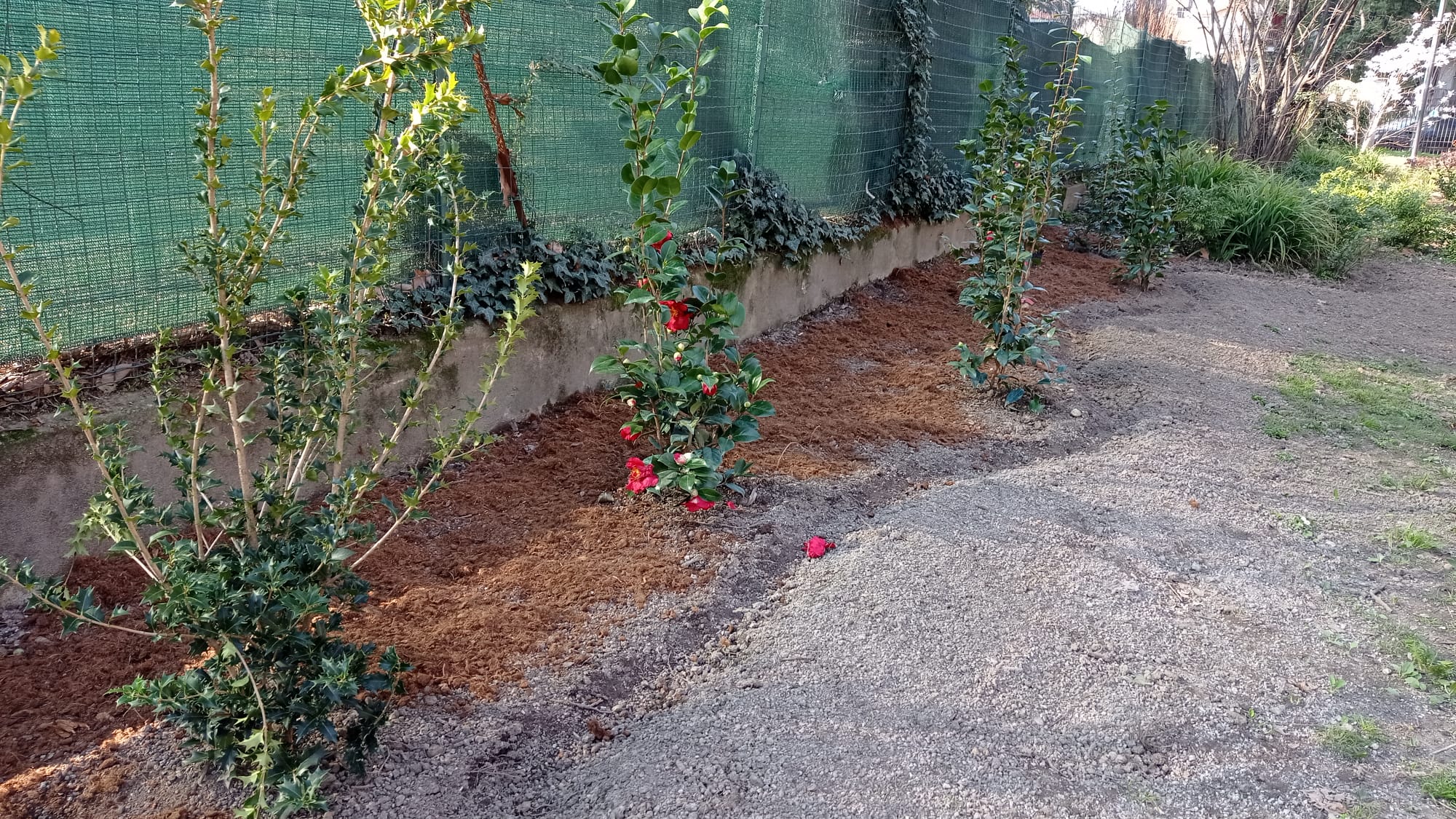 immagine di galleria