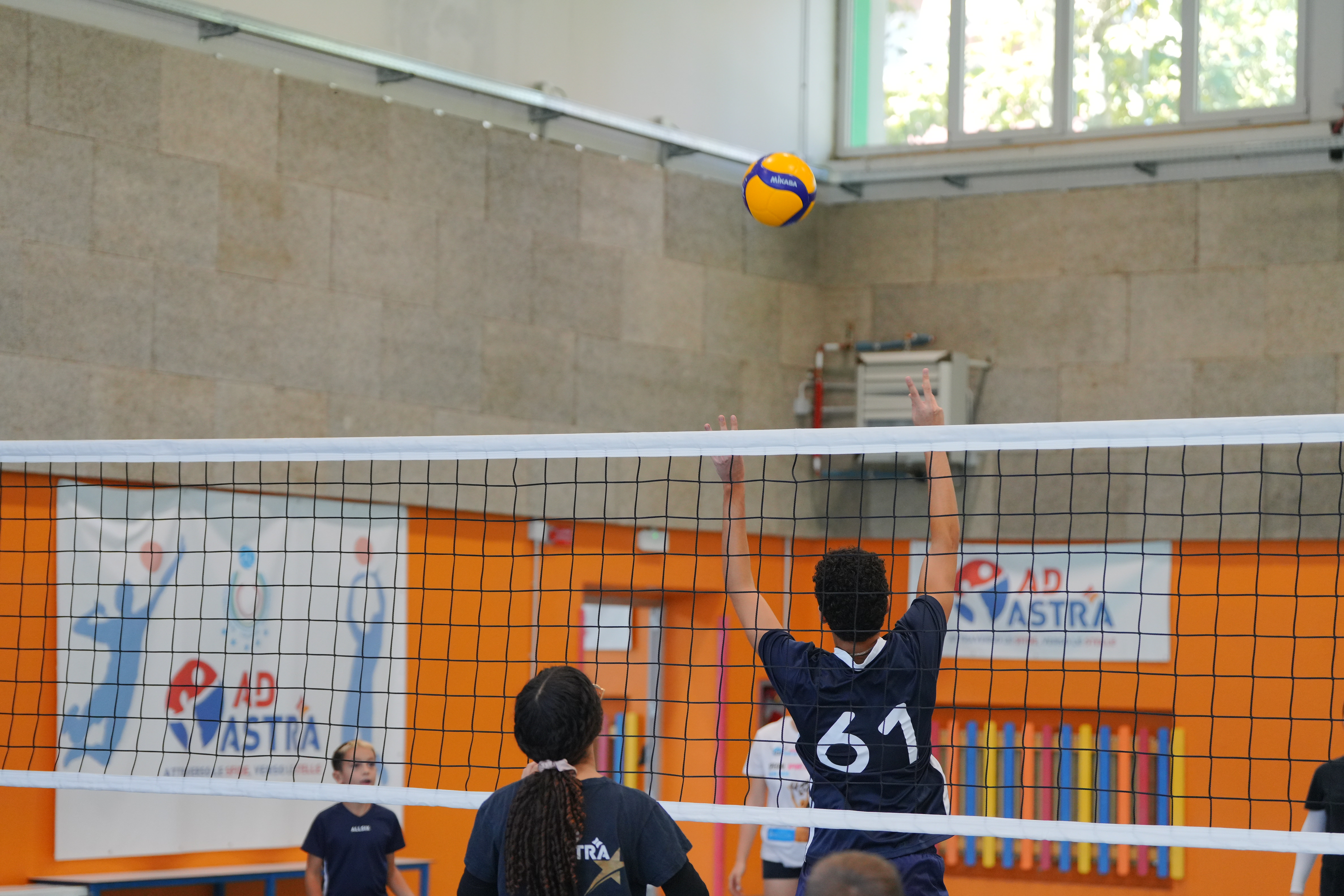 immagine di galleria