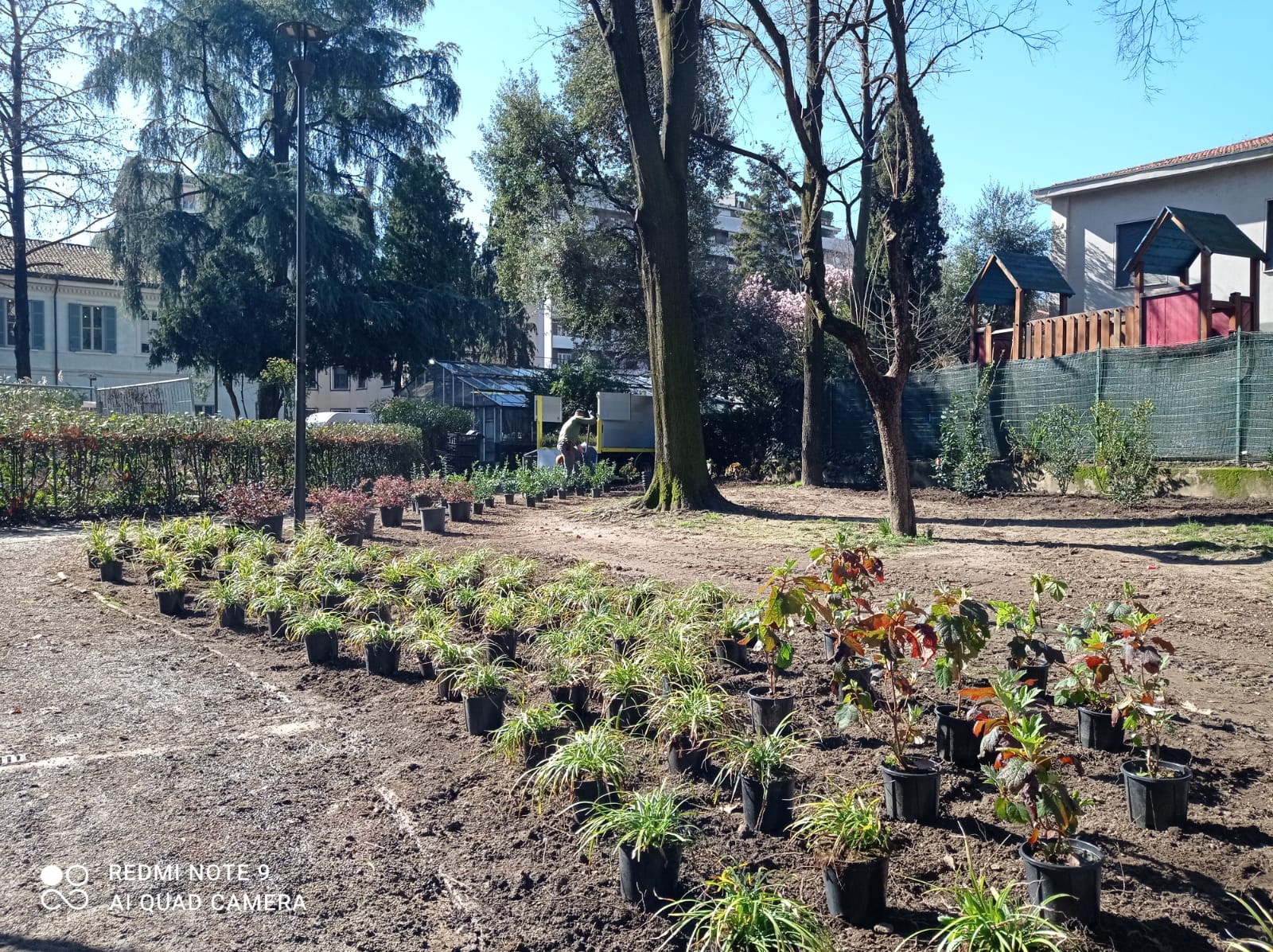 immagine di galleria 'Restyling del giardino di villa Mylius - prima parte'