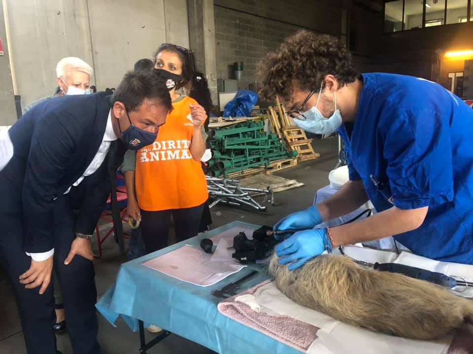 immagine di galleria 'Un progetto per fermare la riproduzione incontrollata delle nutrie'