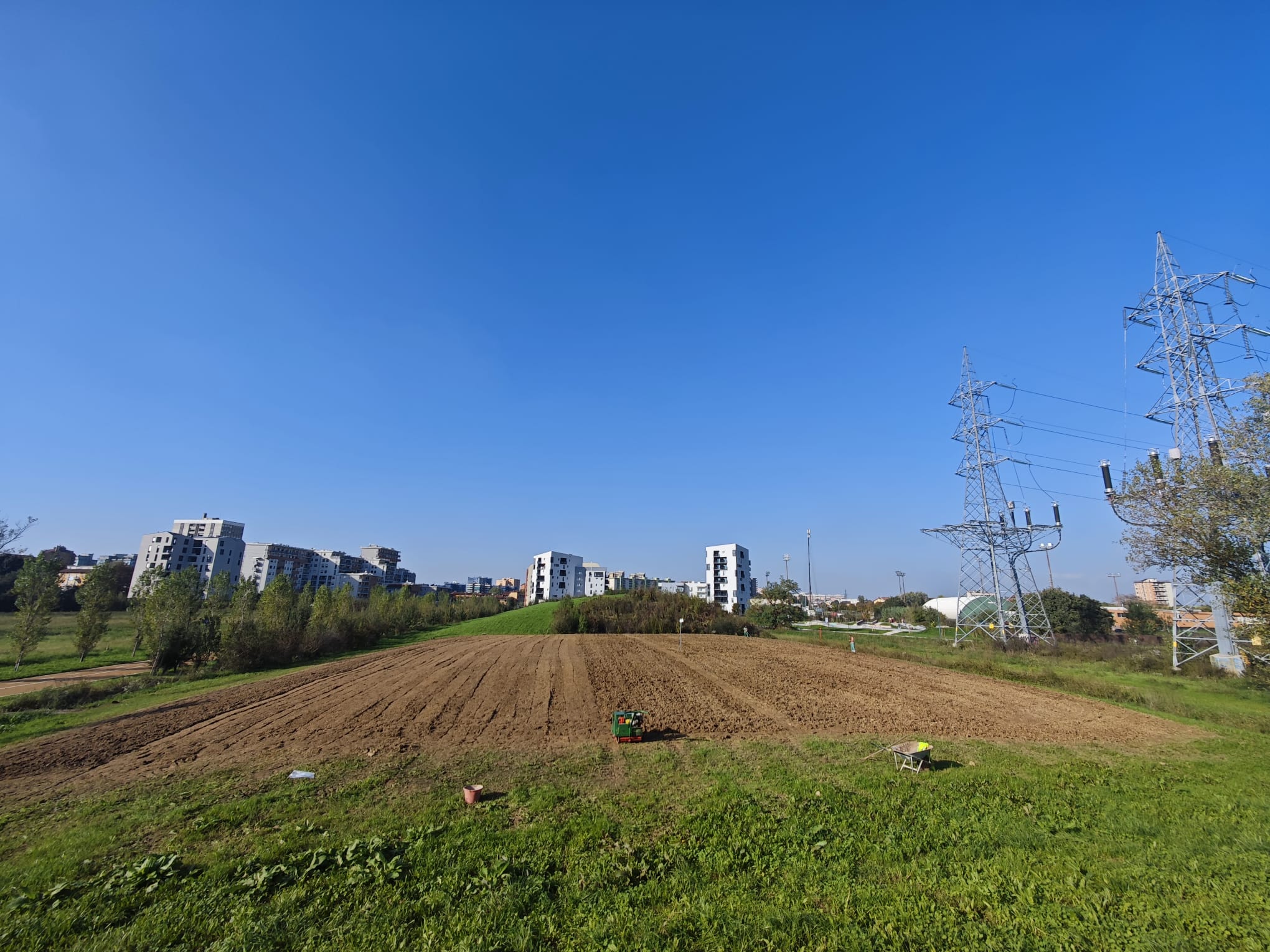 immagine di galleria 'Prato fiorito alla Bergamella'