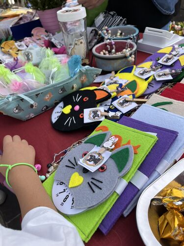 immagine di galleria 'Festa dello Sport, del Volontariato e della Salute 2026'