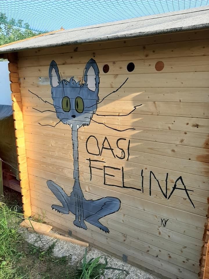 immagine di galleria