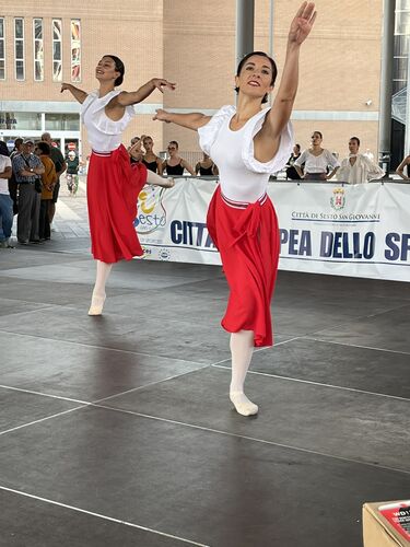 immagine di galleria 'Festa dello Sport, del Volontariato e della Salute 2026'