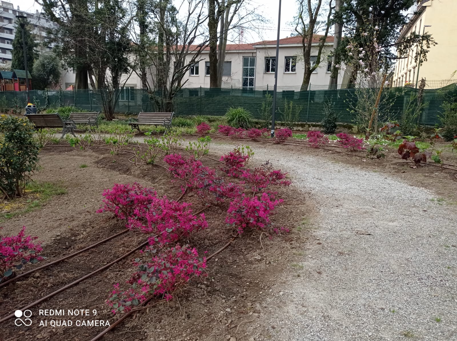 immagine di galleria 'Restyling del giardino di villa Mylius - prima parte'