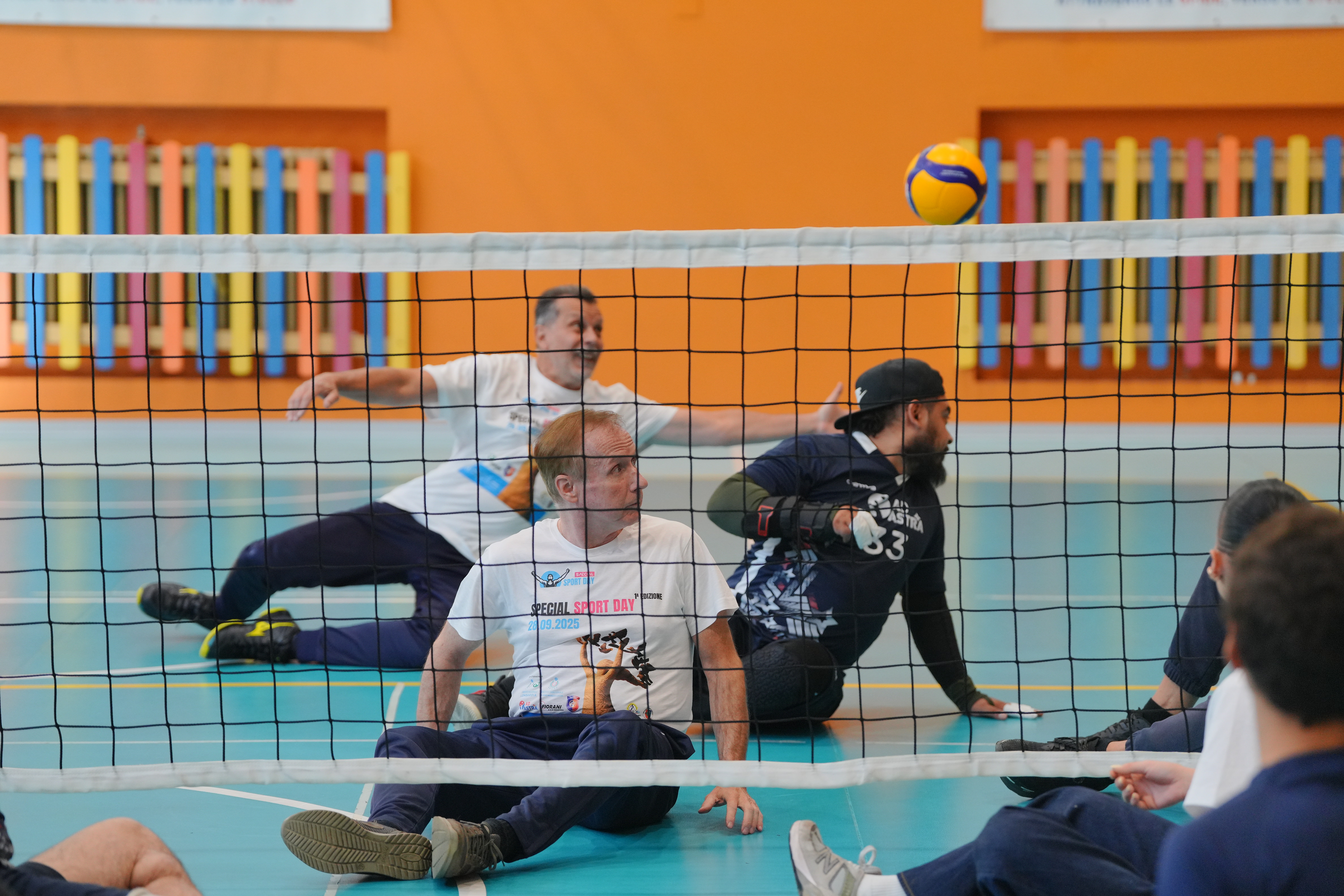 immagine di galleria