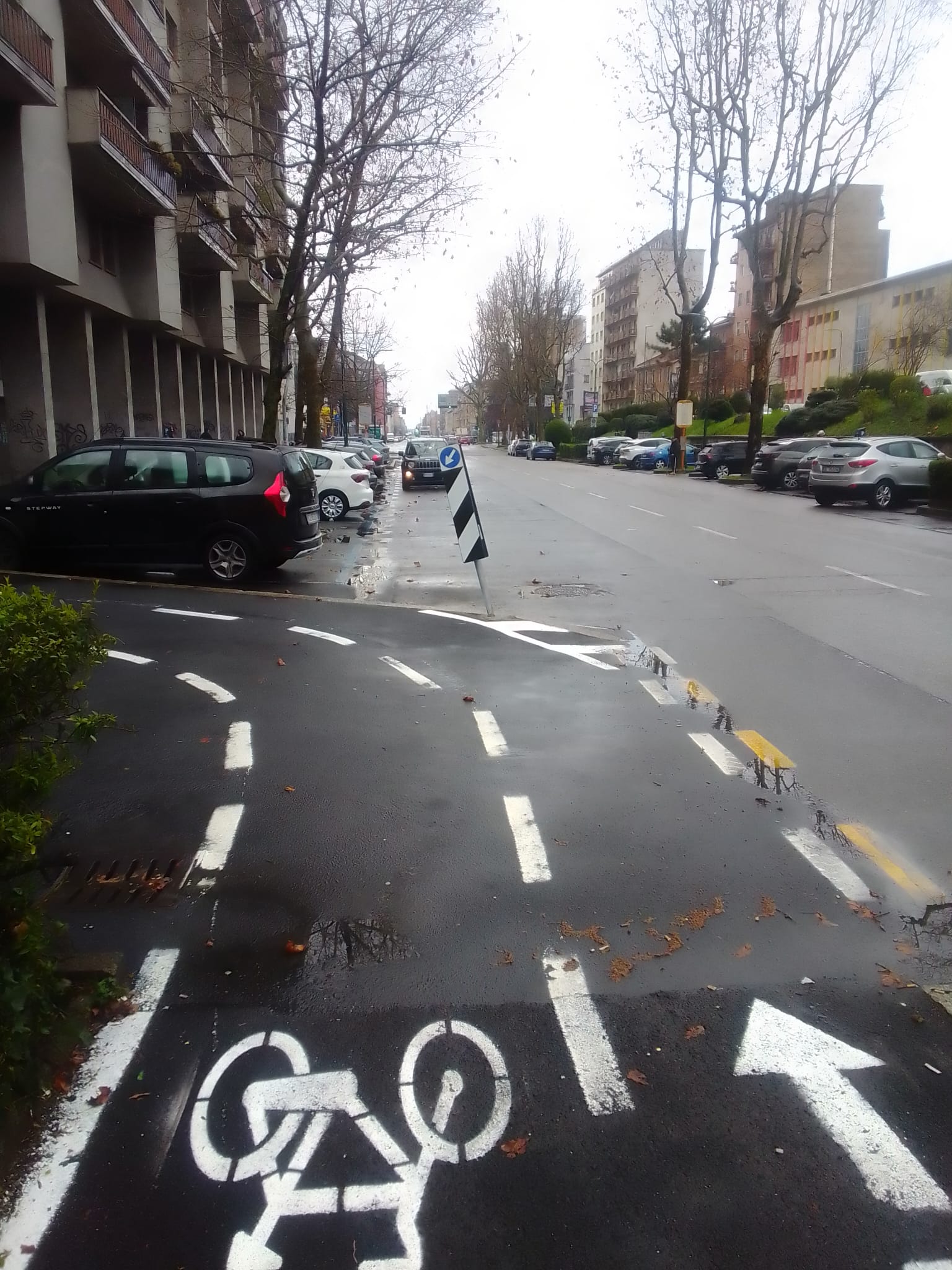 immagine di galleria 'Bicipolitana: la ciclabile di collegamento con il polo universitario di via Adamello'