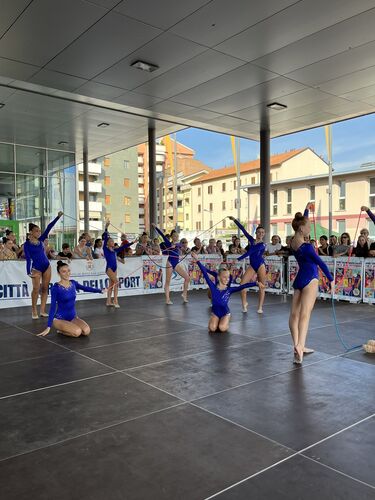 immagine di galleria 'Festa dello Sport, del Volontariato e della Salute 2026'