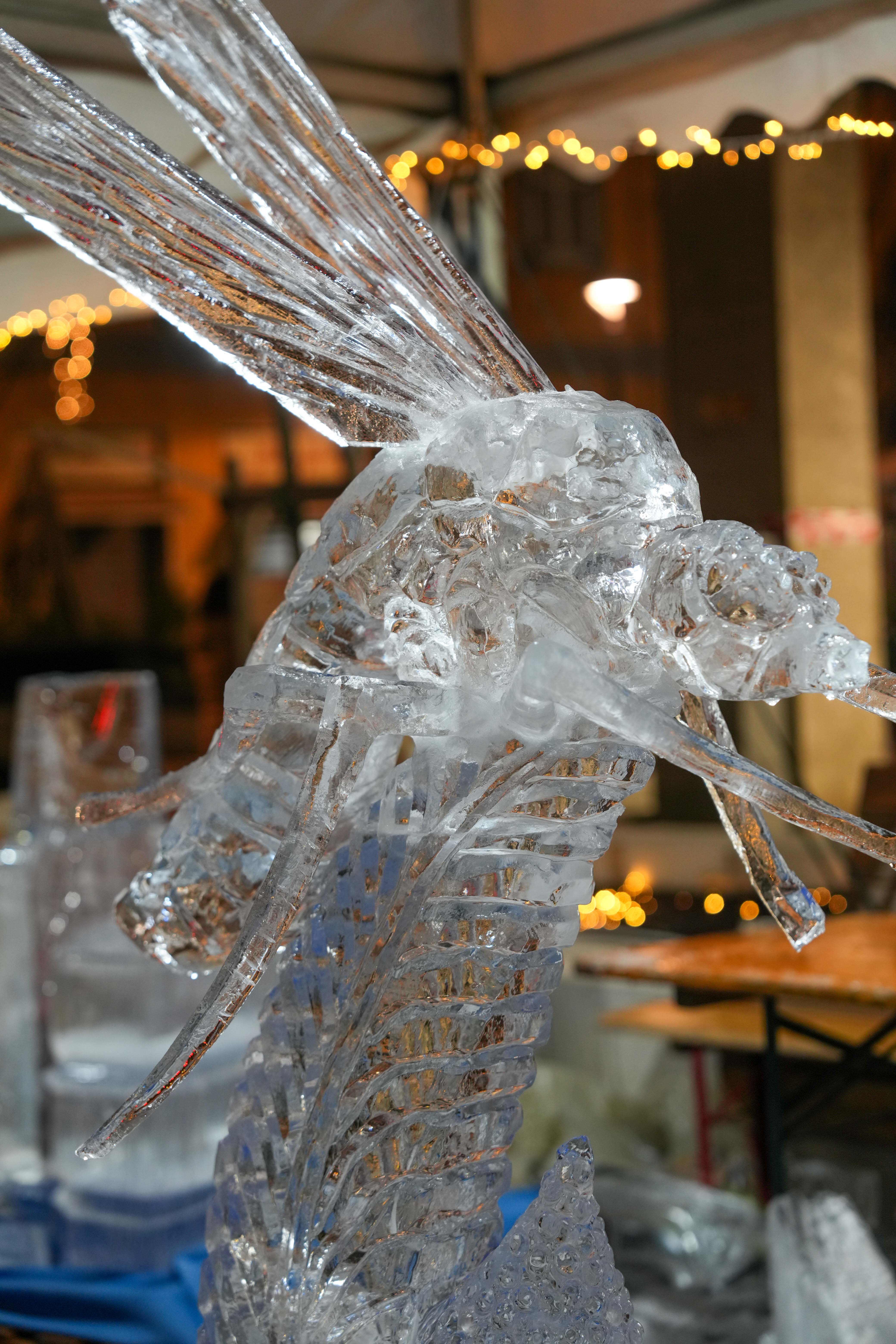 immagine di galleria 'World Ice Art Championship'
