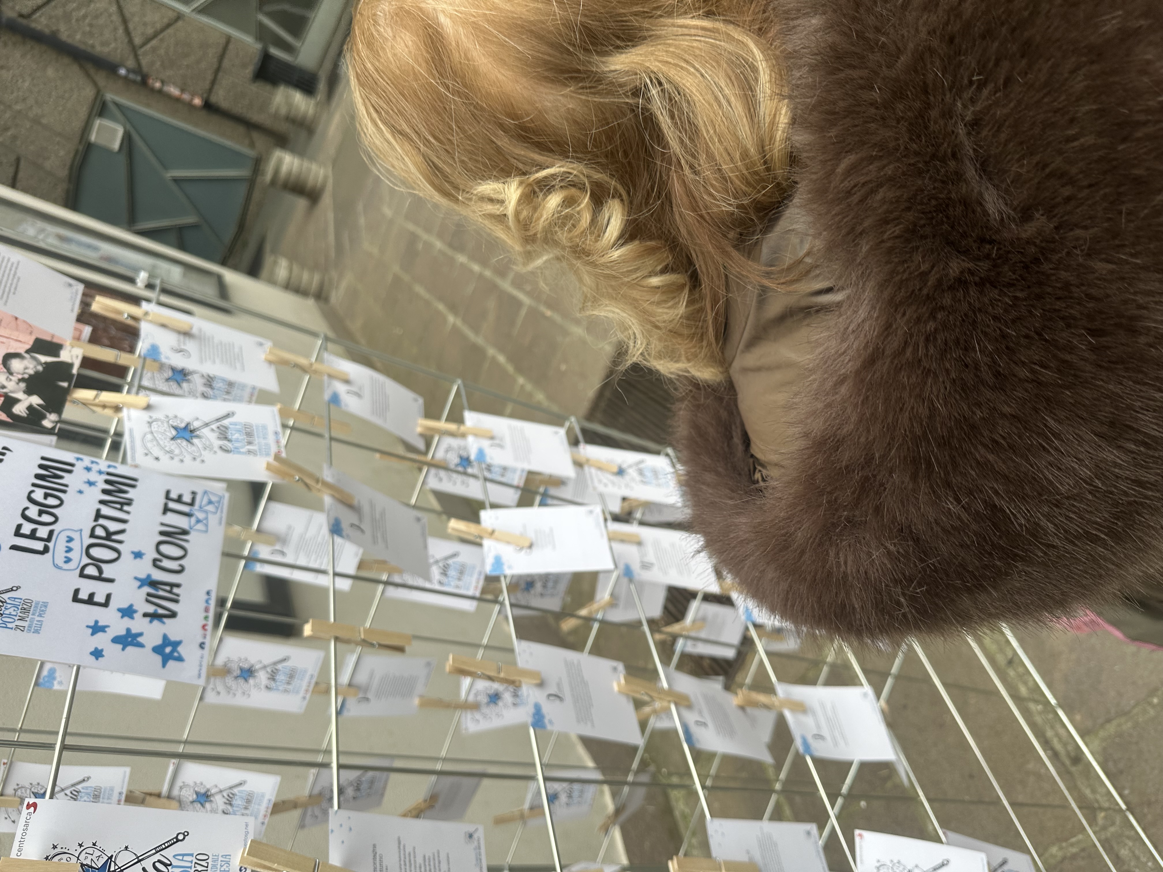 immagine di galleria