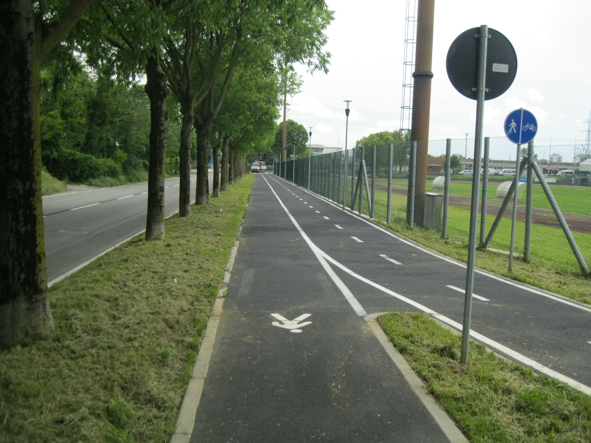 immagine di galleria 'Le reti ciclabili in Città'