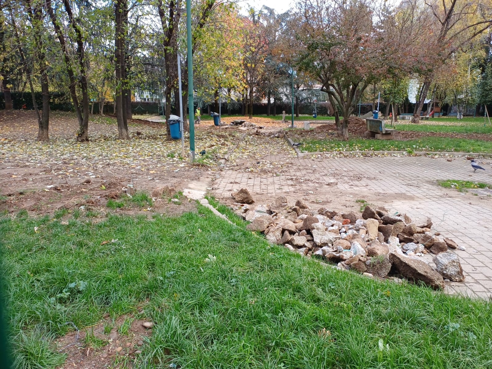 immagine di galleria