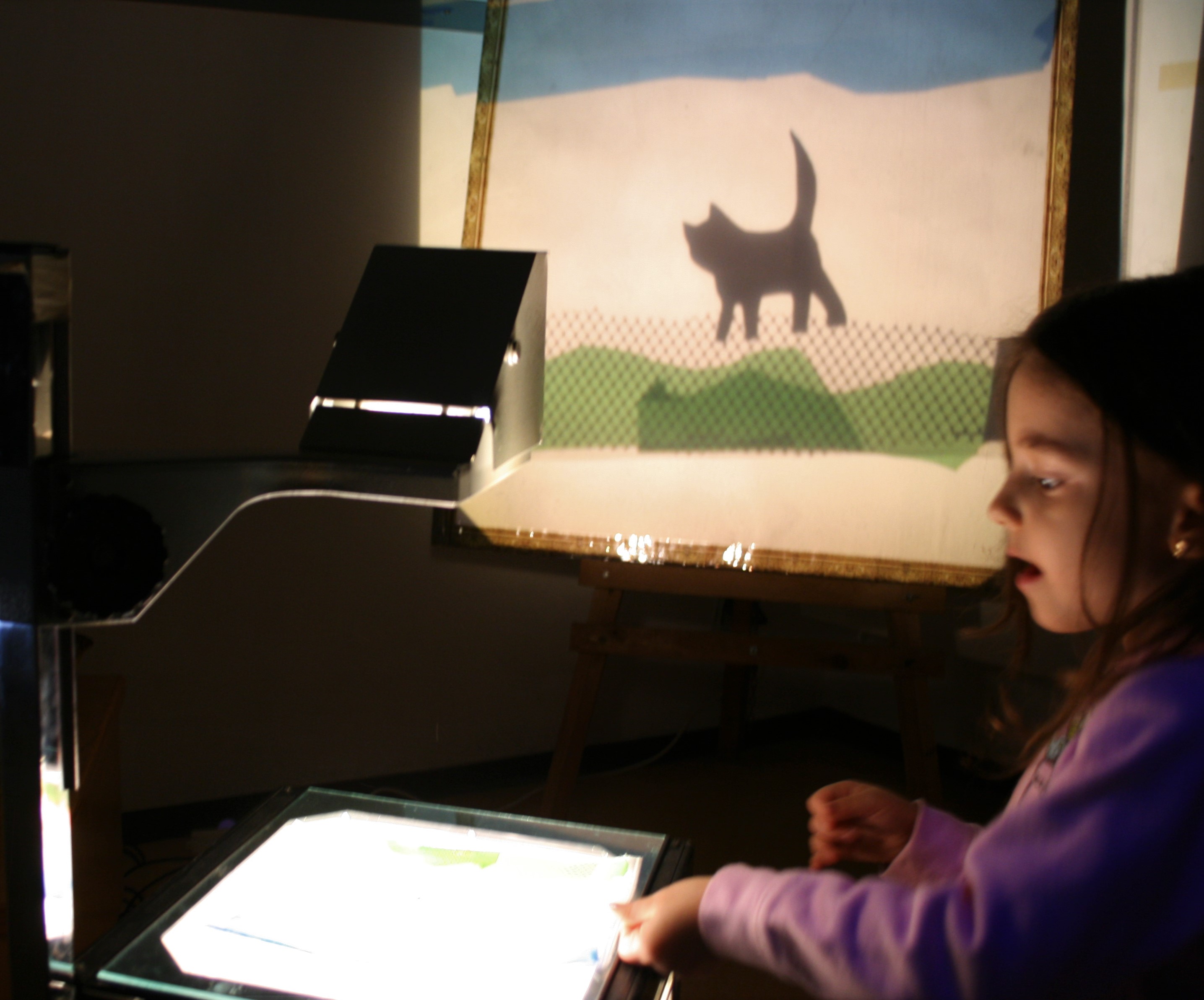 immagine di galleria