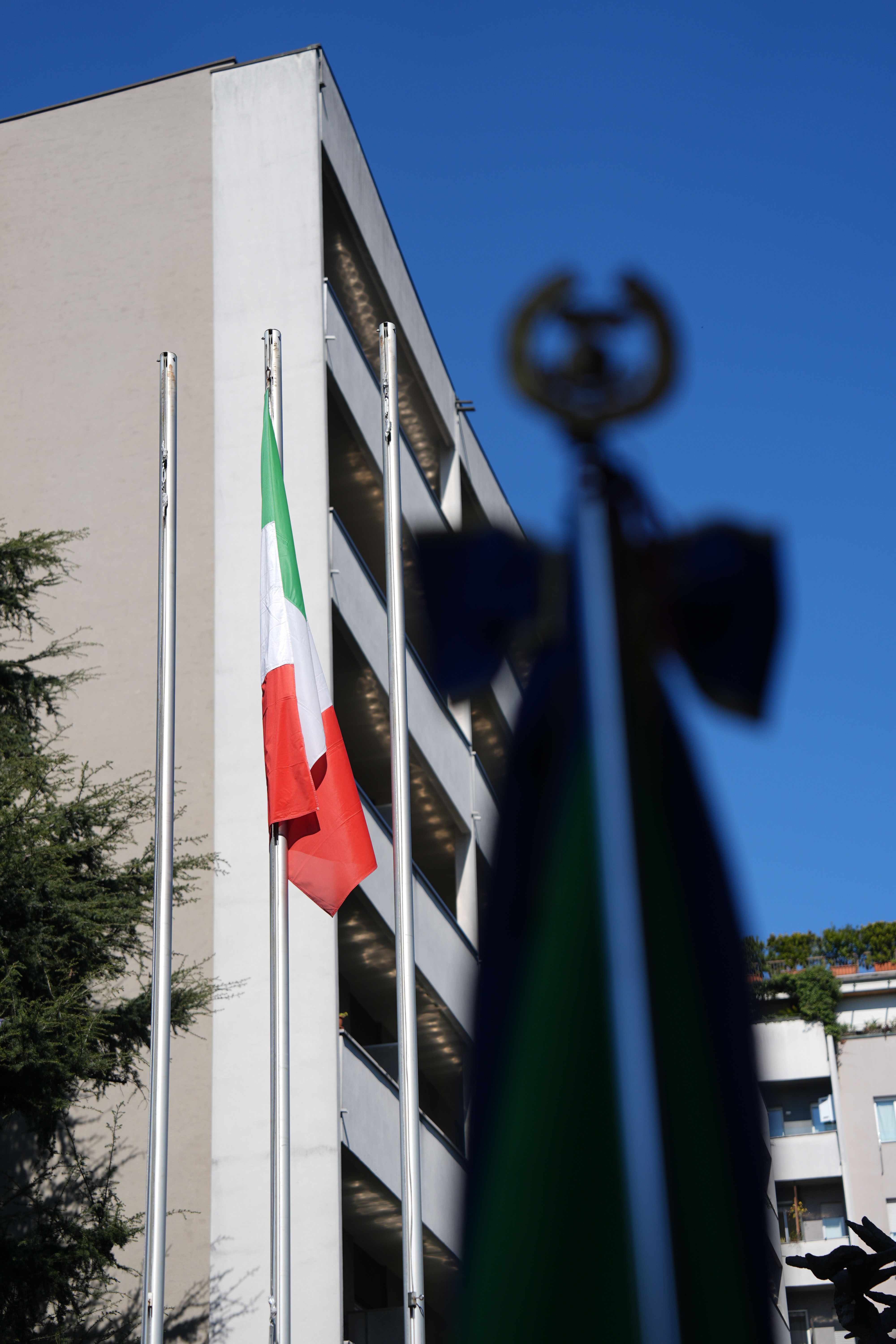 immagine di galleria