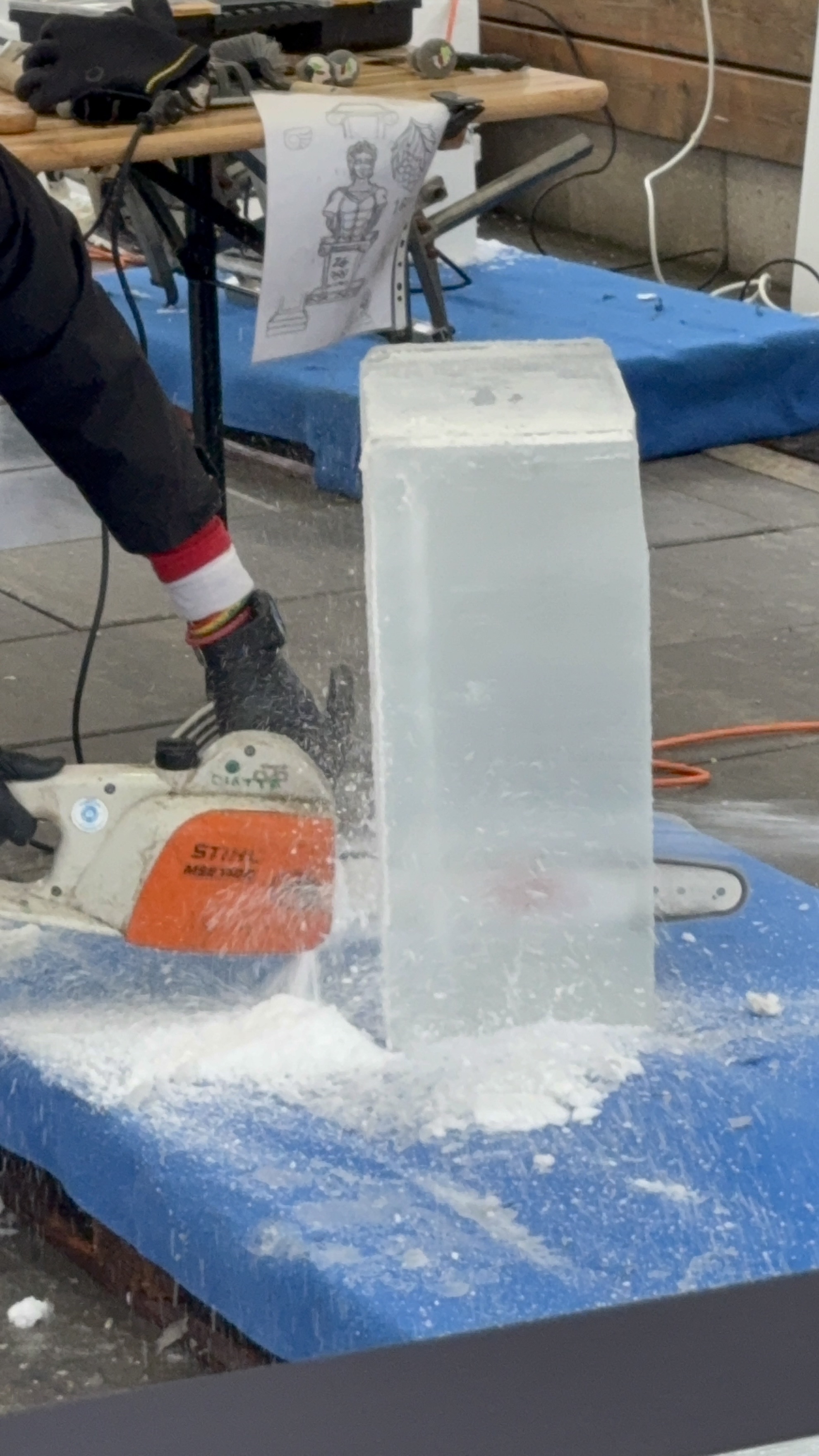 immagine di galleria