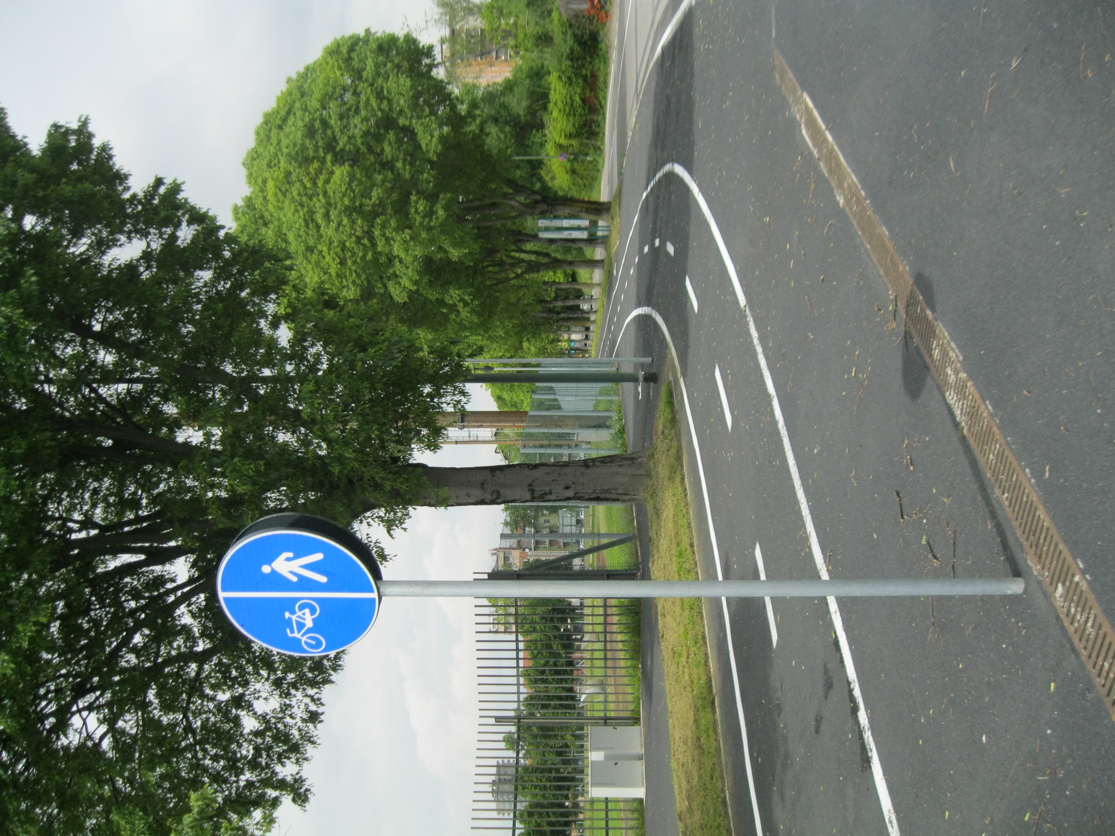 immagine di galleria 'Bicipolitana: la rete ciclabile in Città'