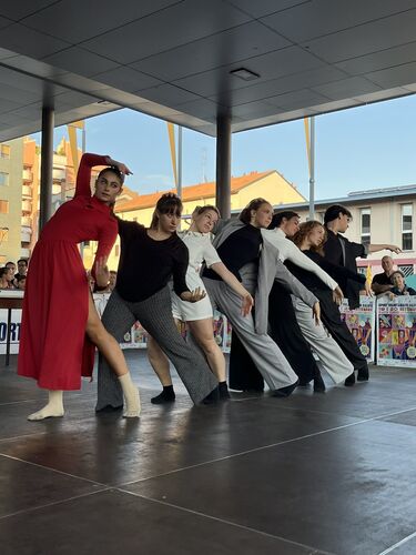 immagine di galleria 'Festa dello Sport, del Volontariato e della Salute 2026'